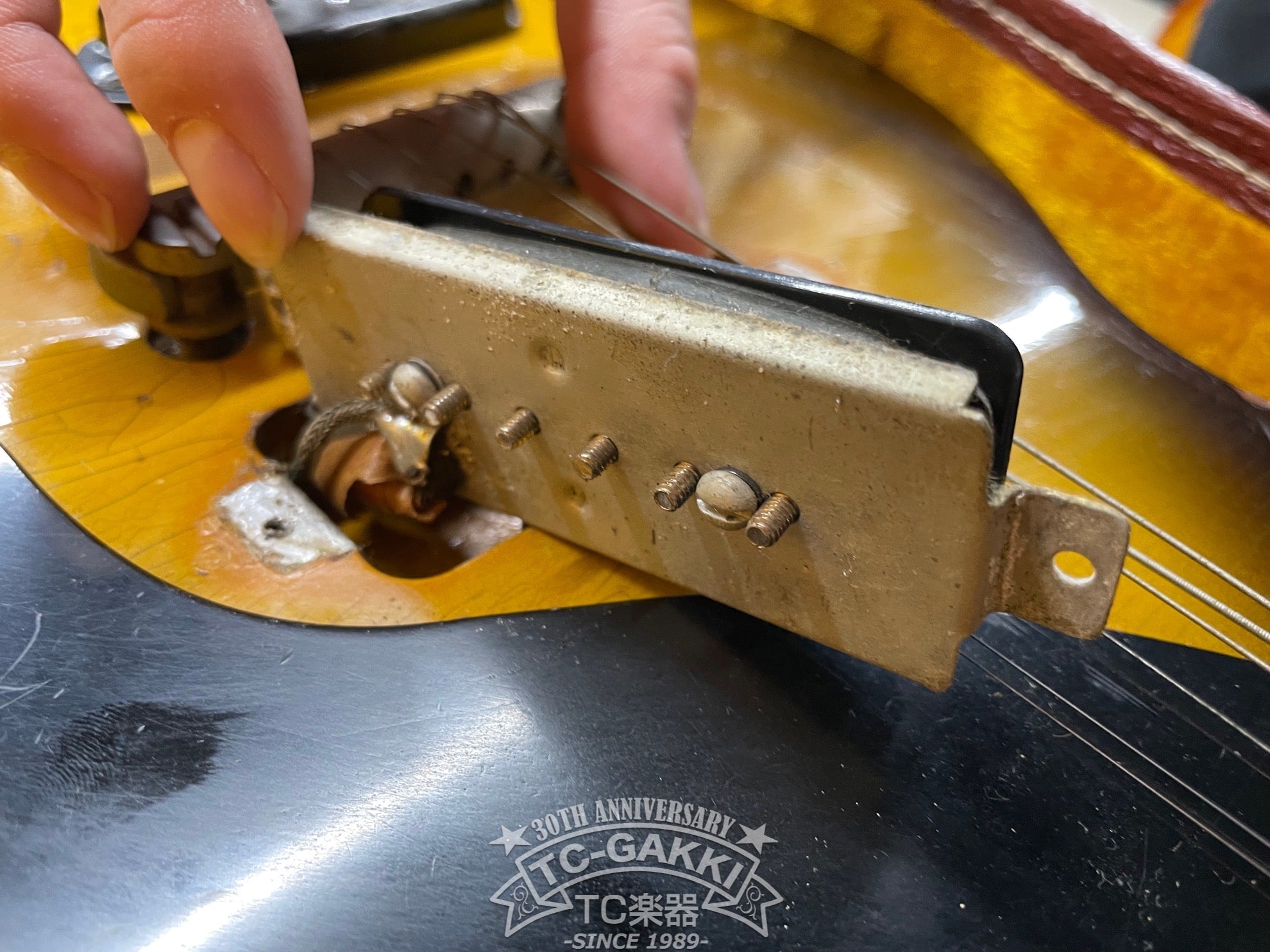 1956 Les Paul Junior - TC楽器 - TCGAKKI
