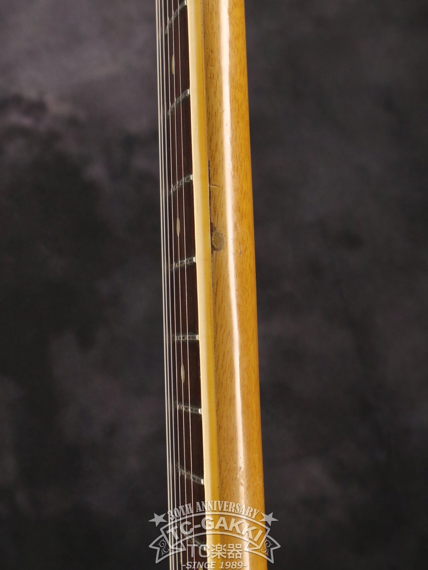 1957 Les Paul Special - TC楽器 - TCGAKKI