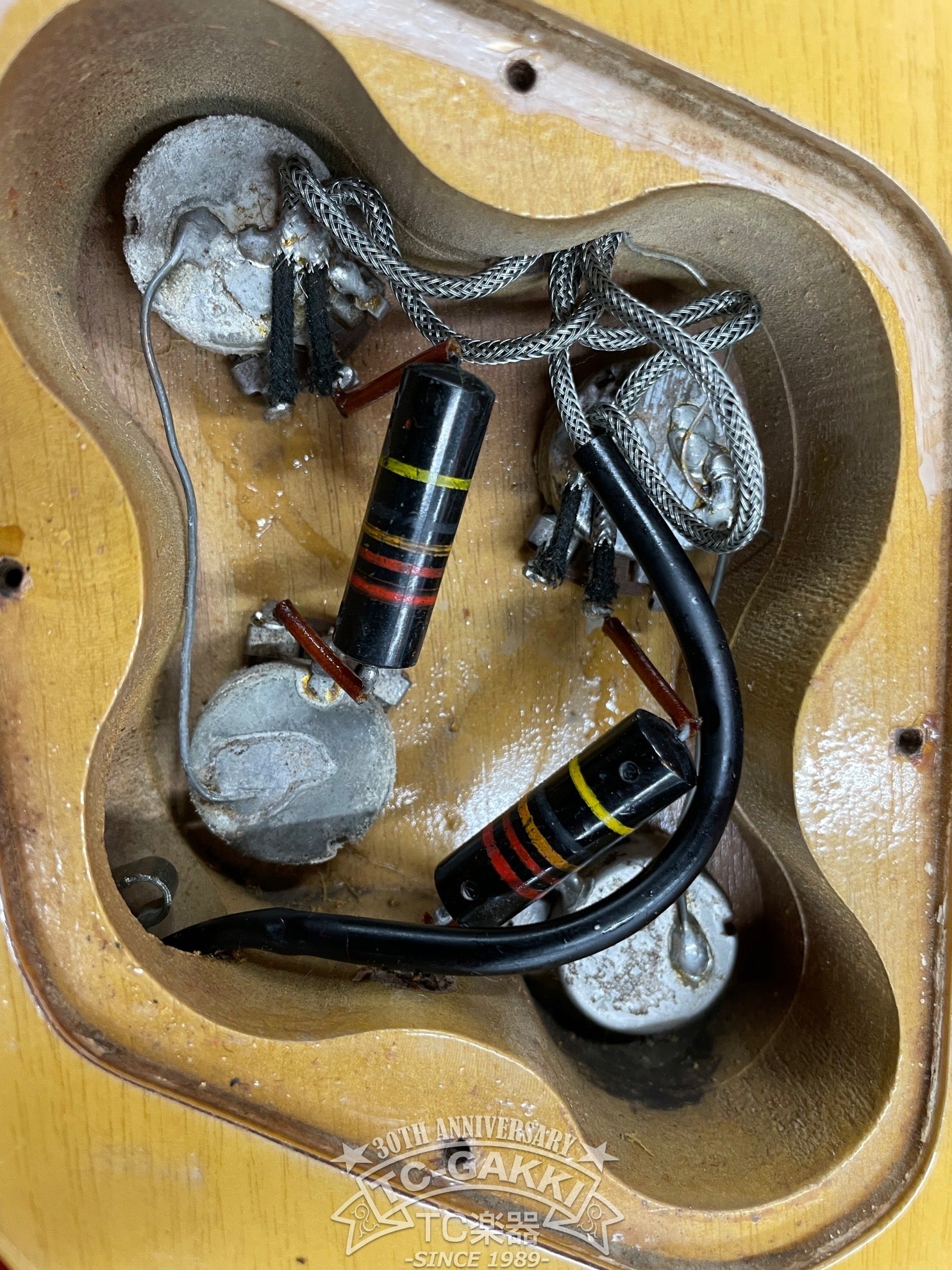 1957 Les Paul Special - TC楽器 - TCGAKKI