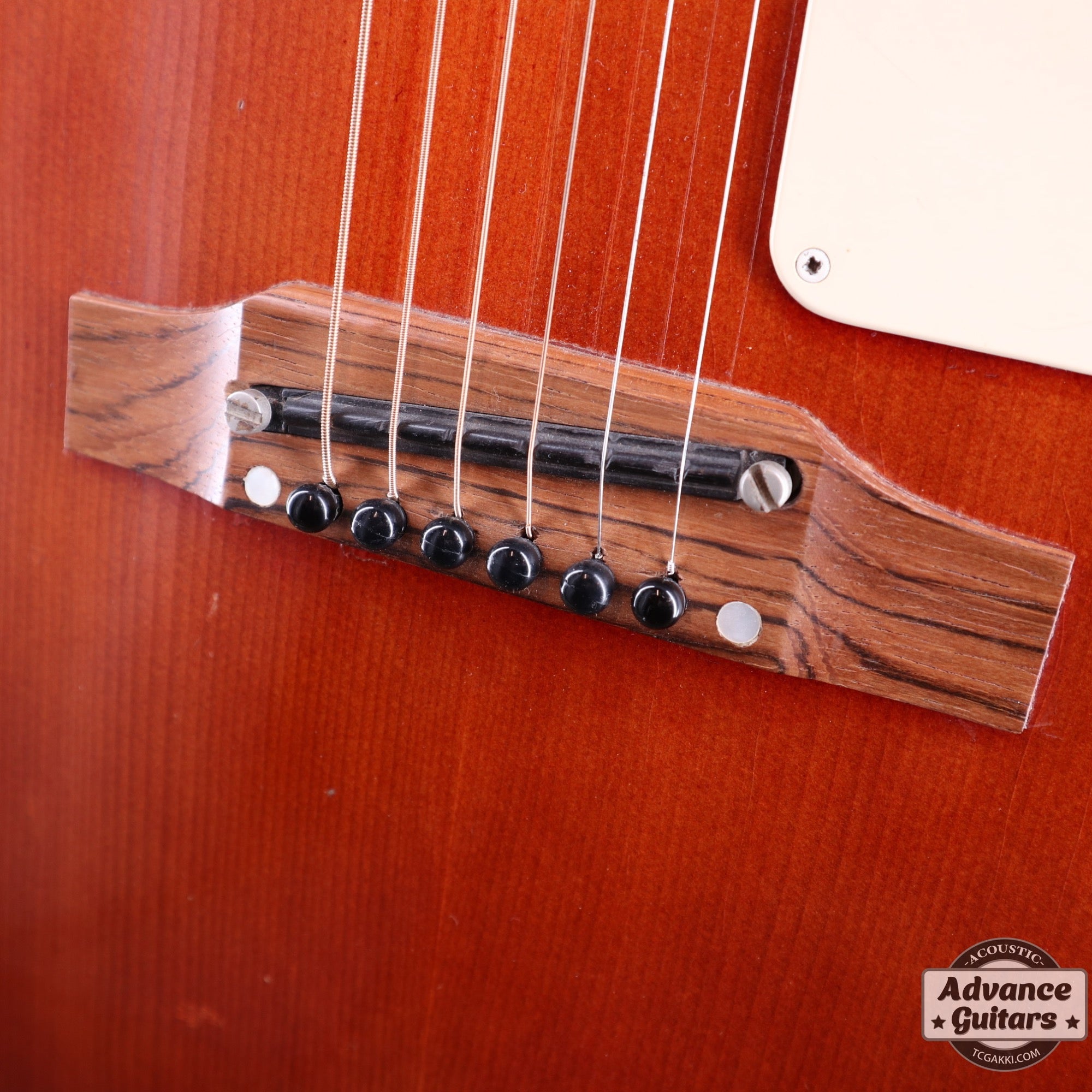 1960s FT-79 Cherry Red - TC楽器 - TCGAKKI