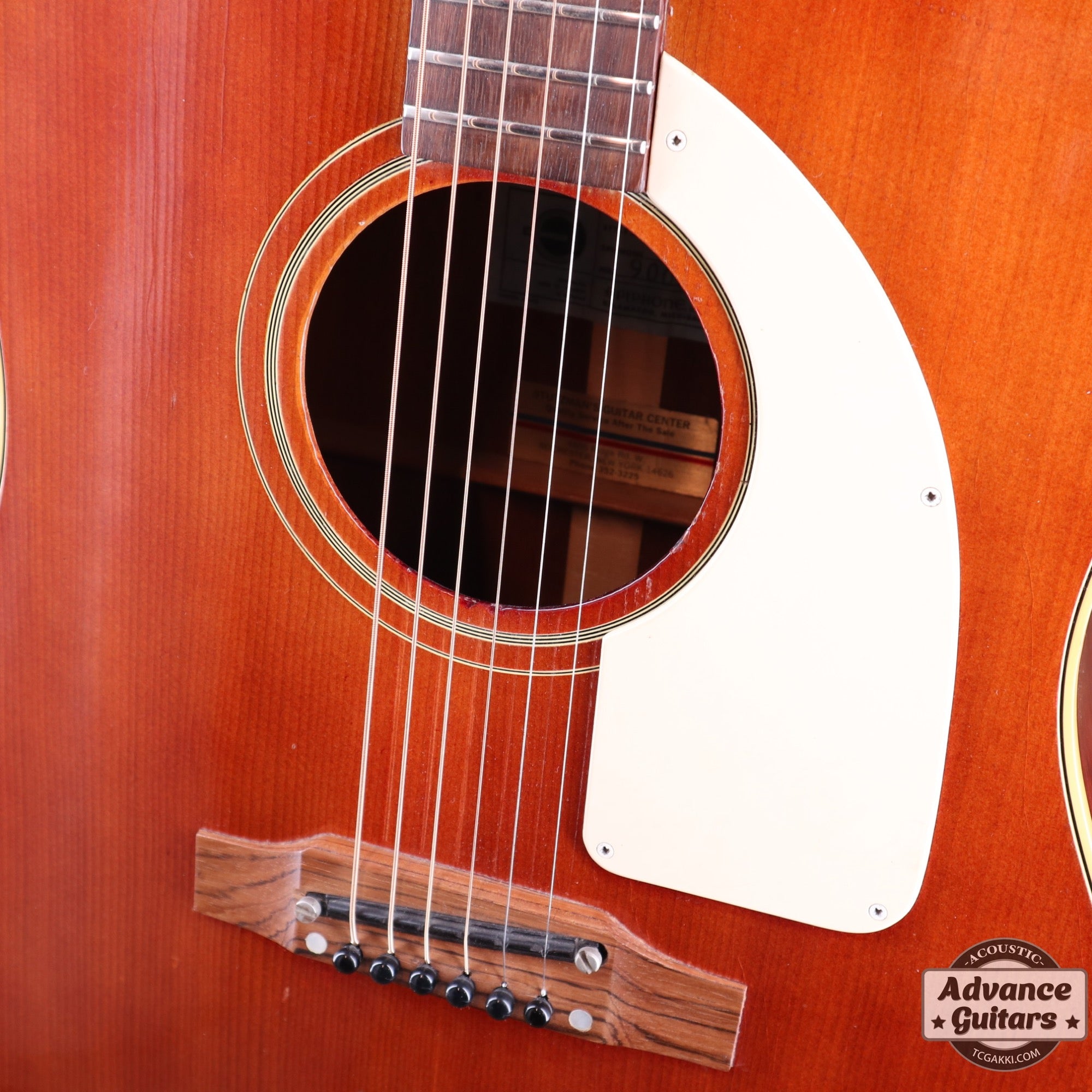 1960s FT-79 Cherry Red - TC楽器 - TCGAKKI