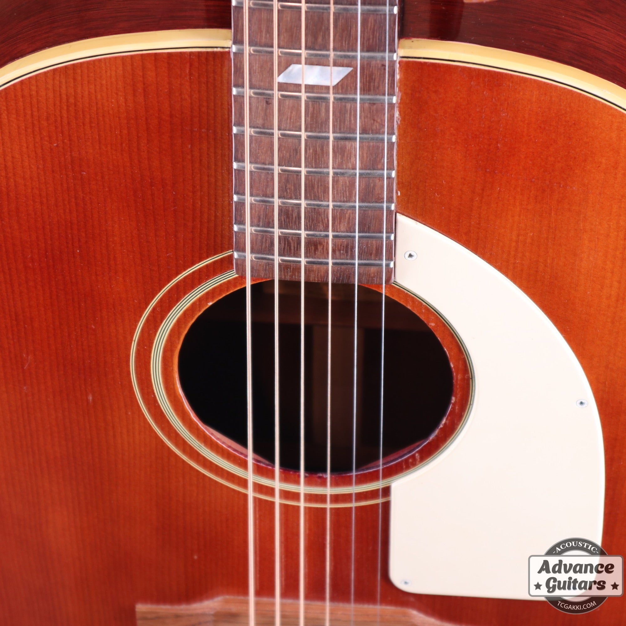 1960s FT-79 Cherry Red - TC楽器 - TCGAKKI