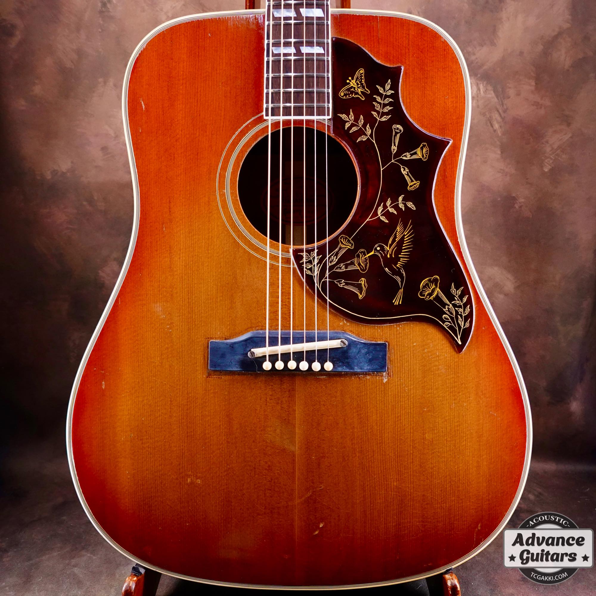 Gibson hummingbird - アコースティックギター