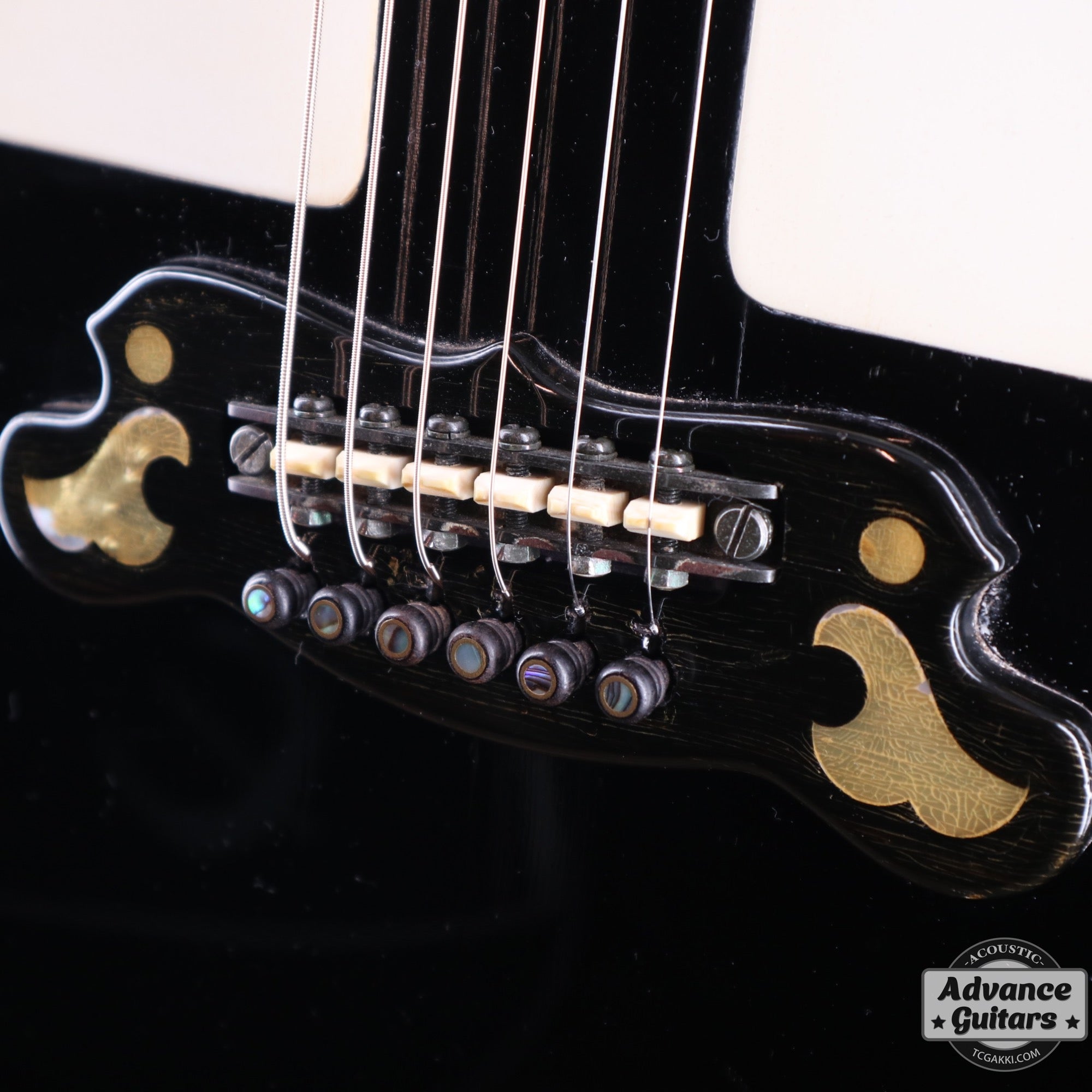 1977 L-52 CUSTOM - TC楽器 - TCGAKKI