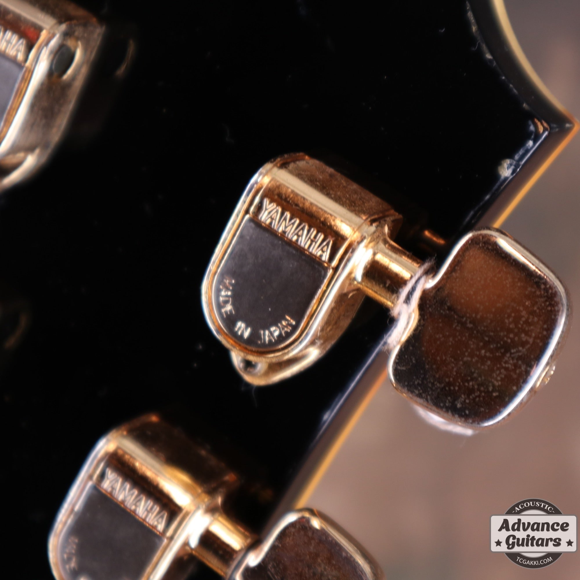 1977 L-52 CUSTOM - TC楽器 - TCGAKKI