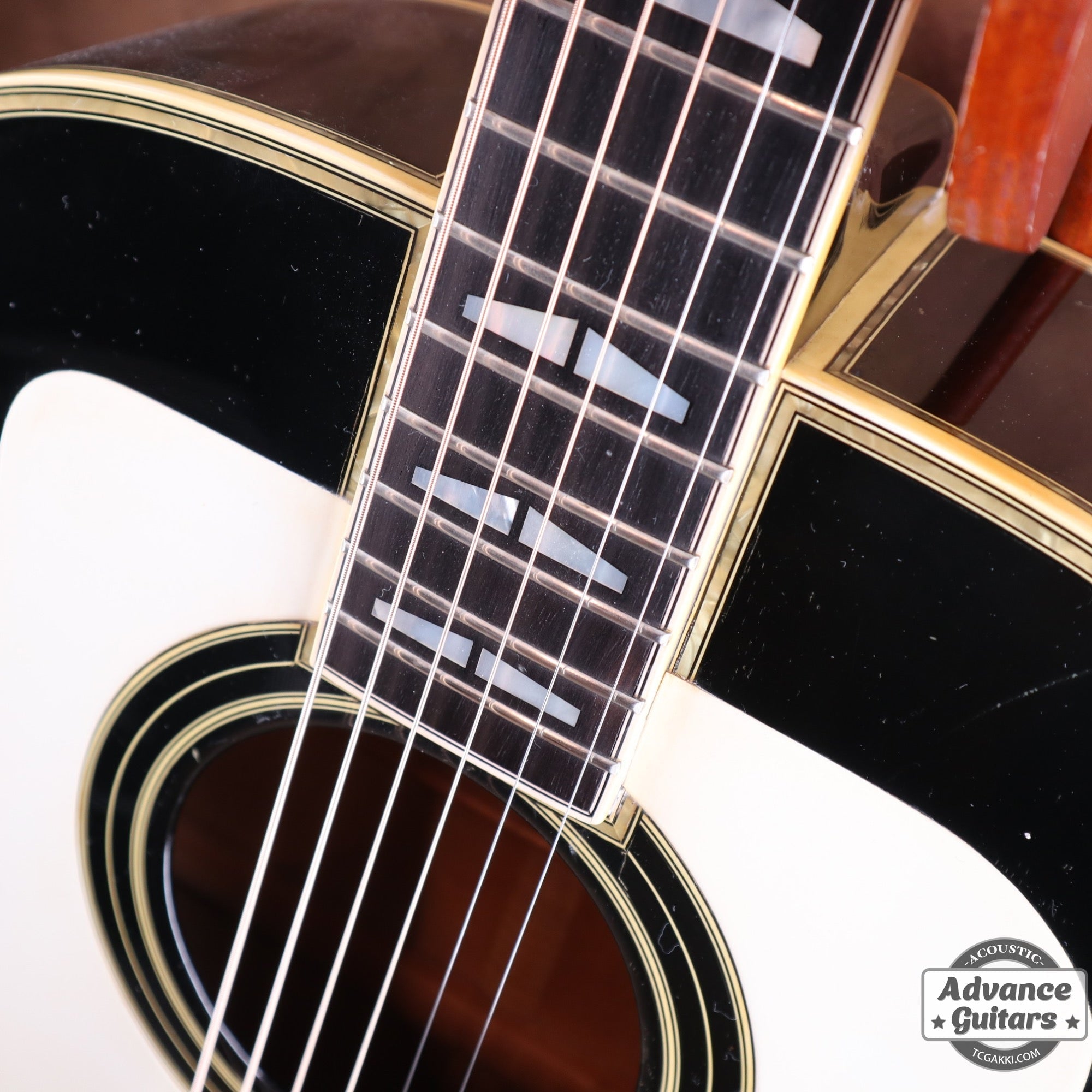 1977 L-52 CUSTOM - TC楽器 - TCGAKKI