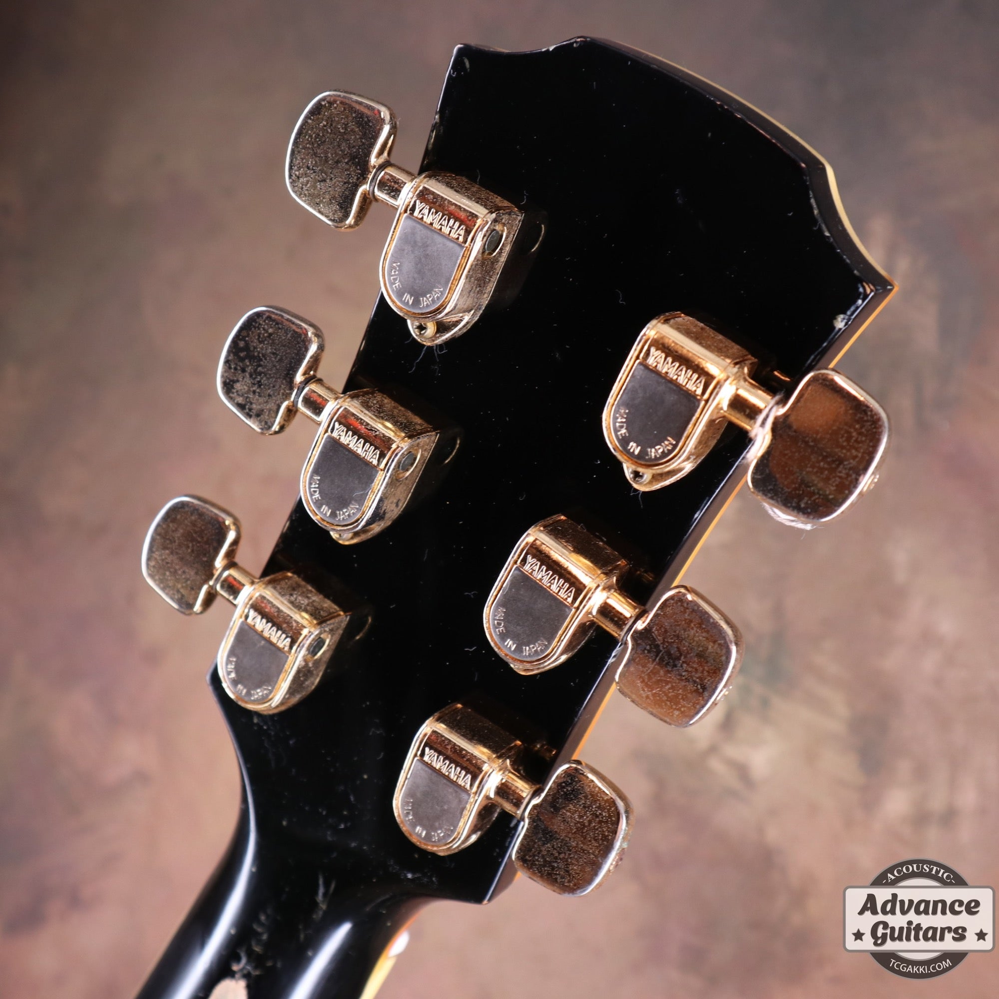1977 L-52 CUSTOM - TC楽器 - TCGAKKI