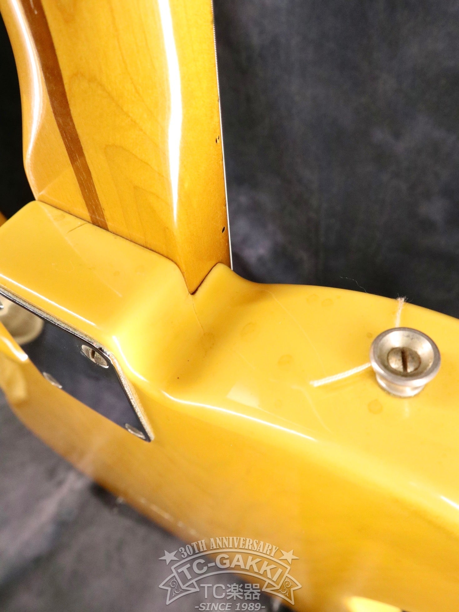 1983 TL52-95 JV Serial - TC楽器 - TCGAKKI