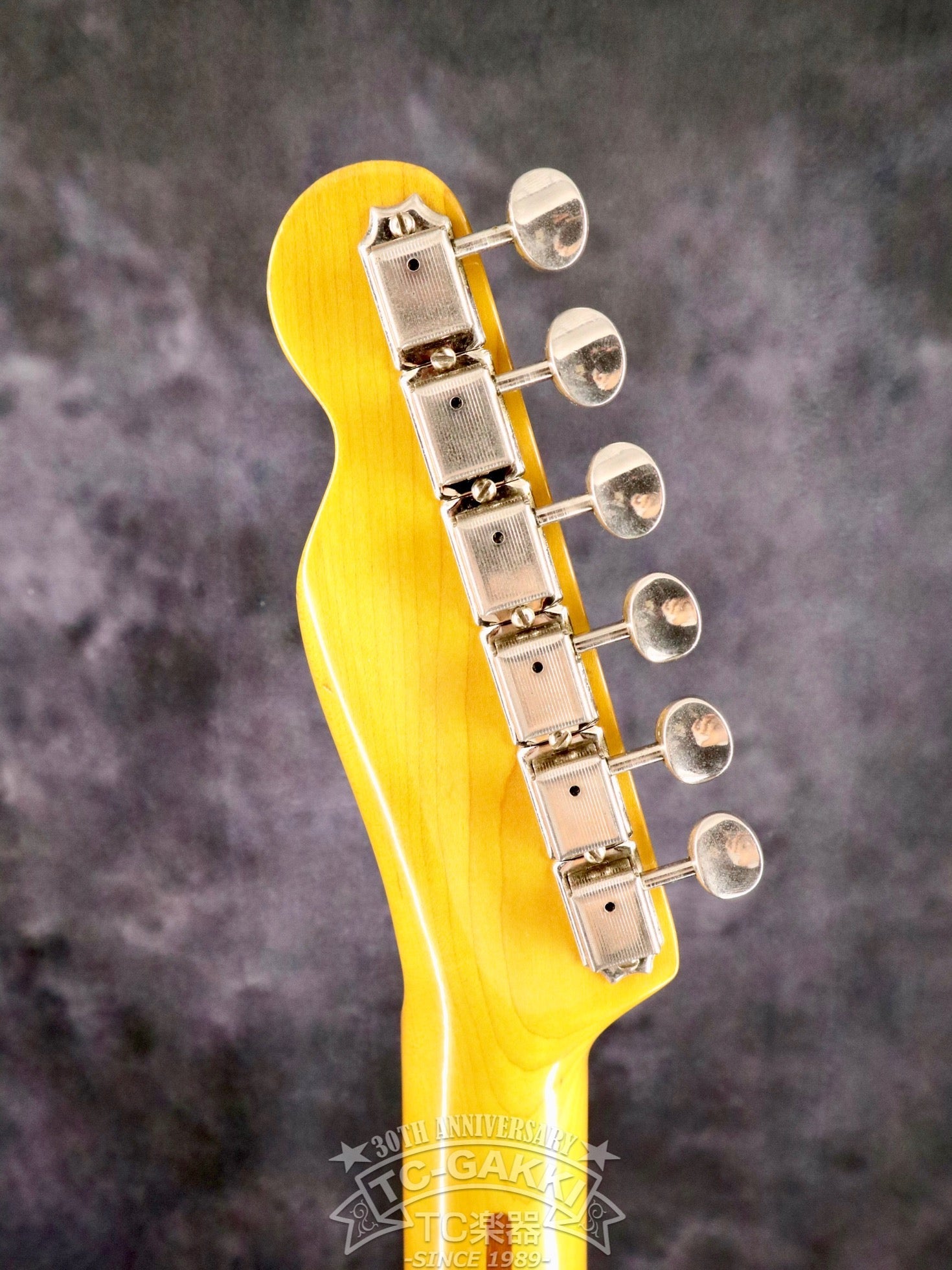 1983 TL52-95 JV Serial - TC楽器 - TCGAKKI