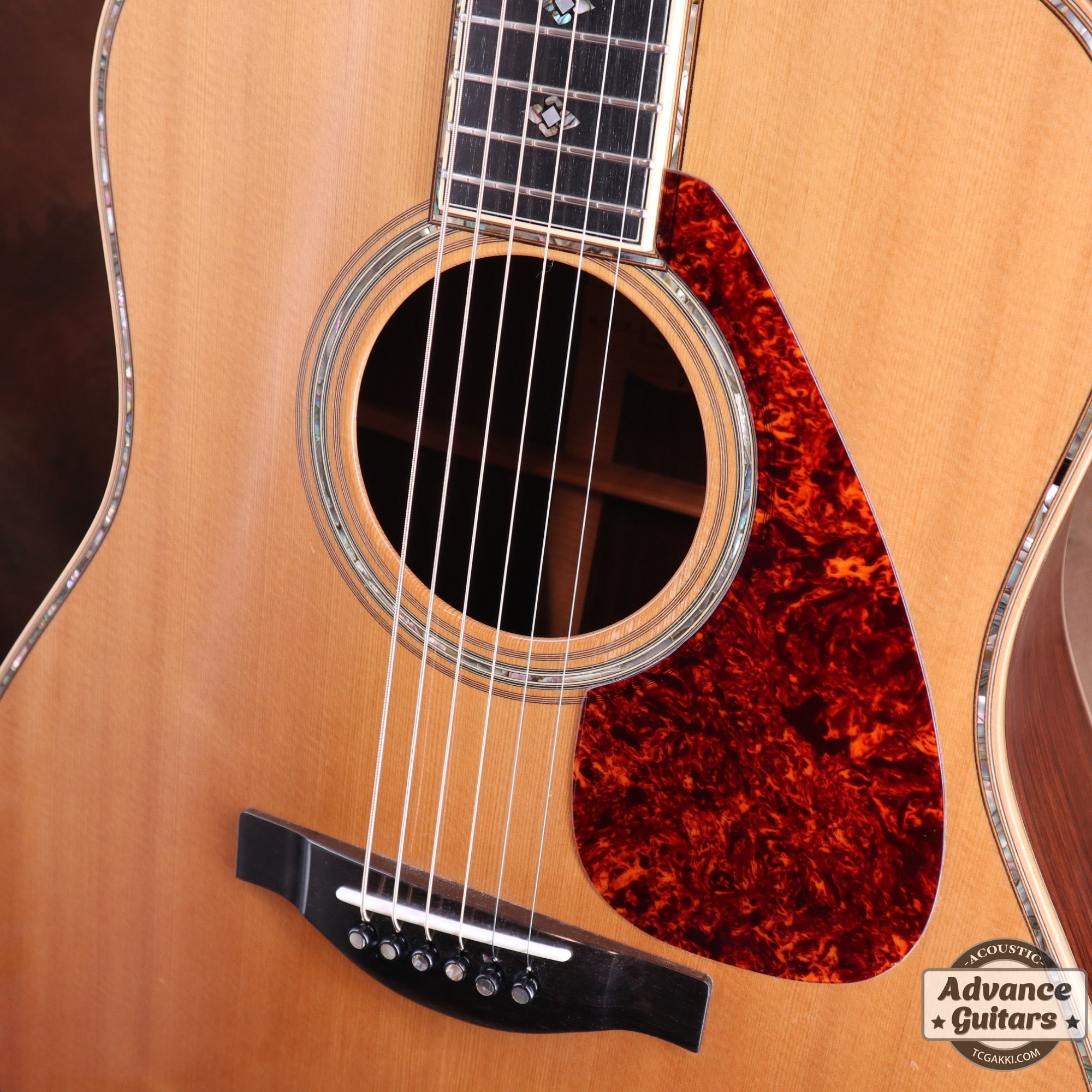 1987 LS-50 Custom - TC楽器 - TCGAKKI