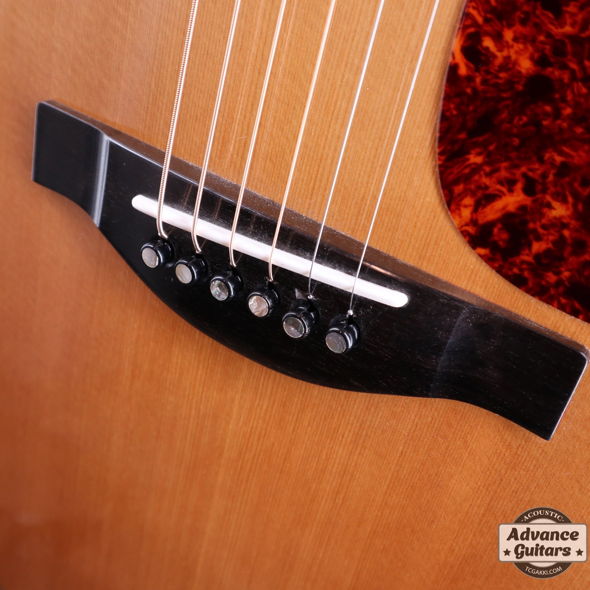1987 LS-50 Custom - TC楽器 - TCGAKKI