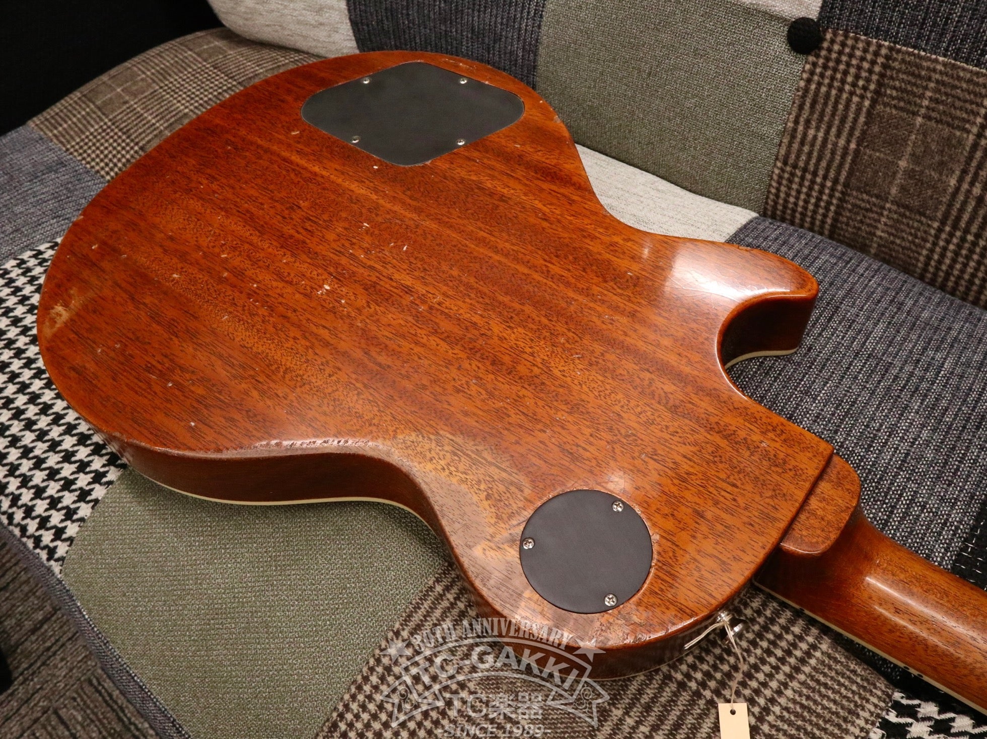 2023 Kashmir - TC楽器 - TCGAKKI