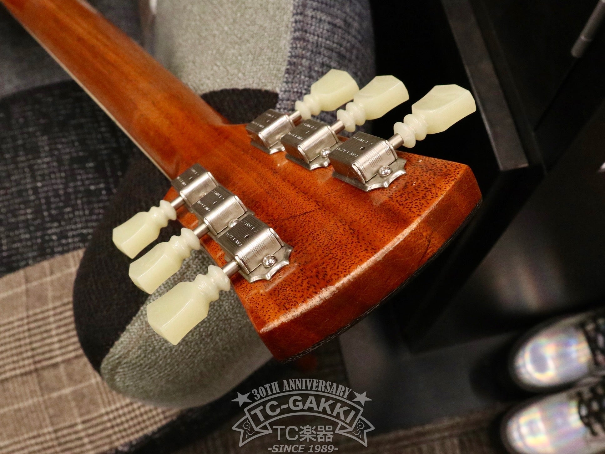 2023 Kashmir - TC楽器 - TCGAKKI