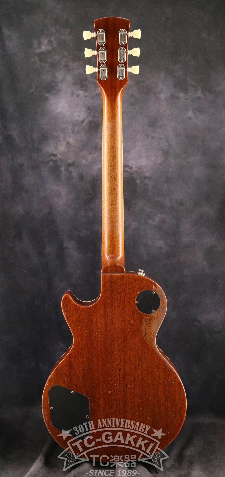 2023 Kashmir - TC楽器 - TCGAKKI