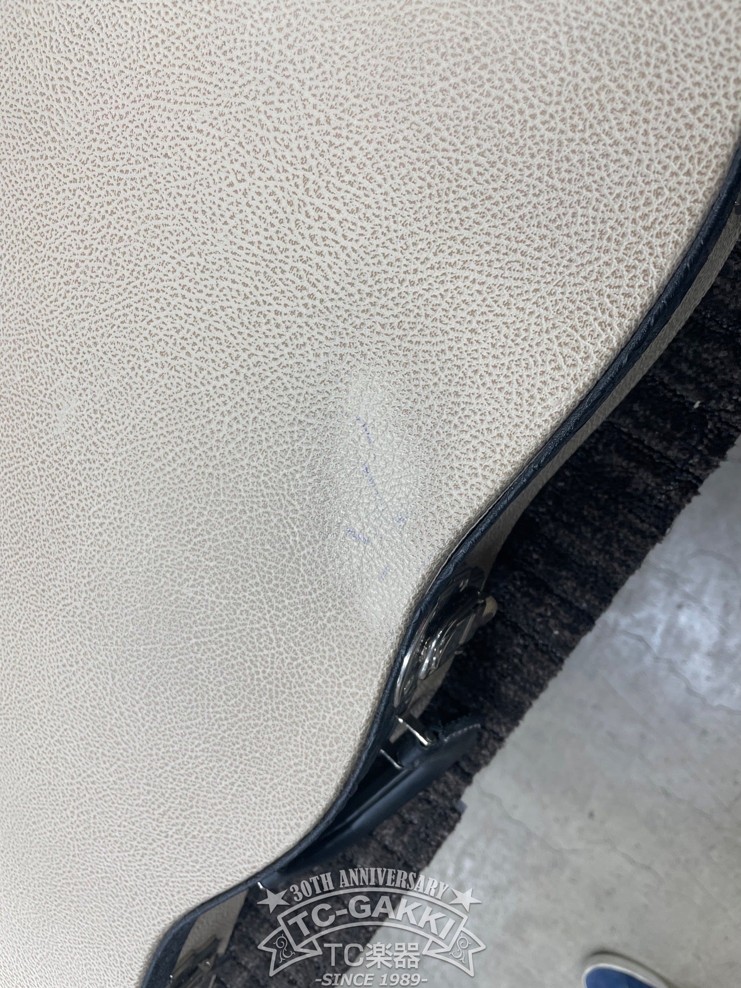 2023 Kashmir - TC楽器 - TCGAKKI