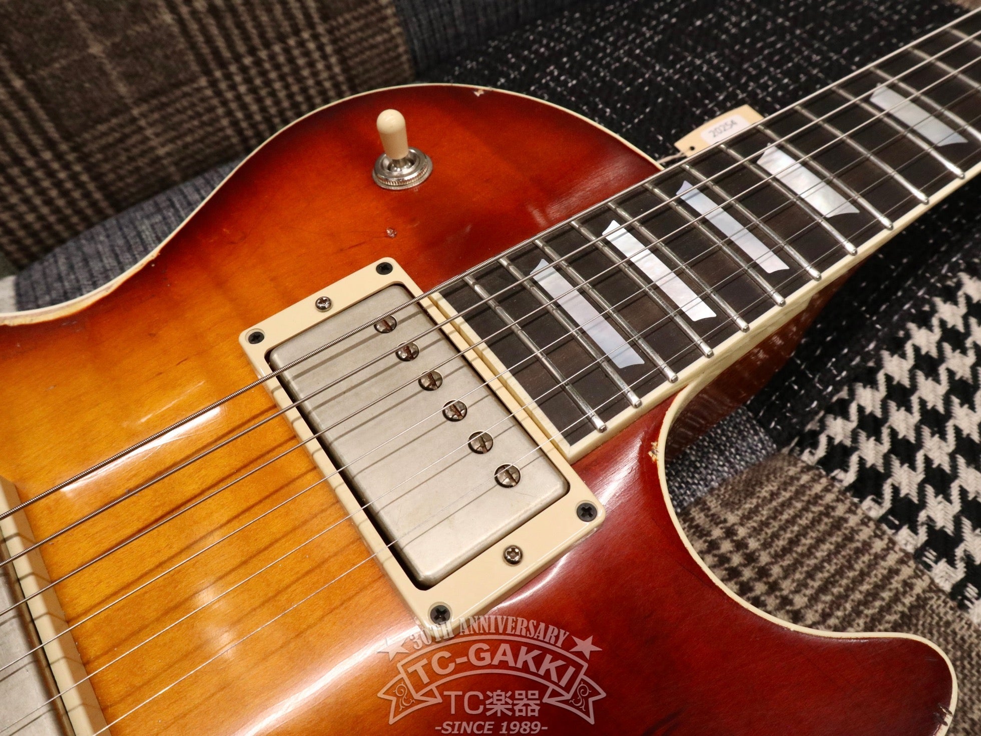 2023 Kashmir - TC楽器 - TCGAKKI