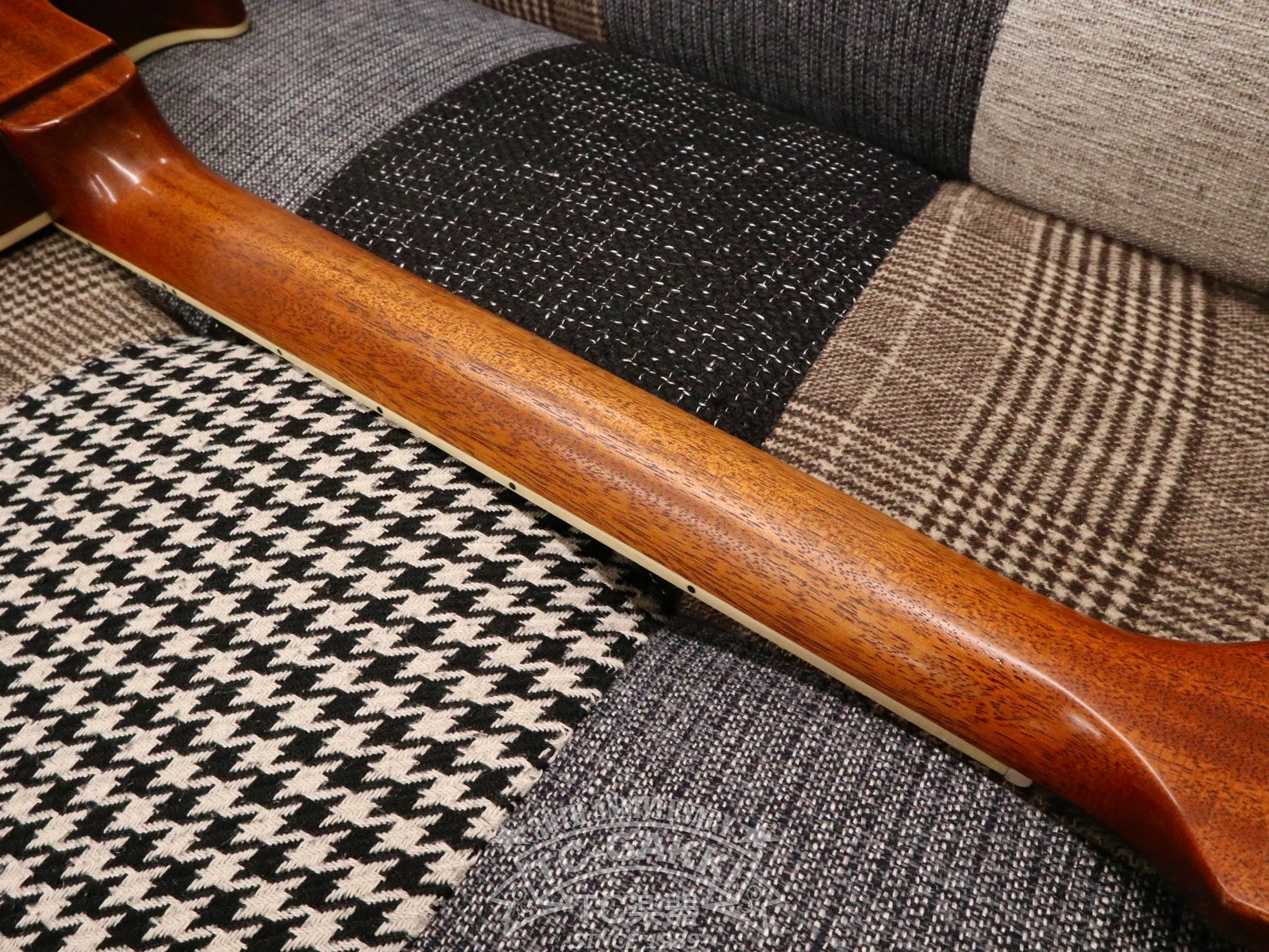 2023 Kashmir - TC楽器 - TCGAKKI