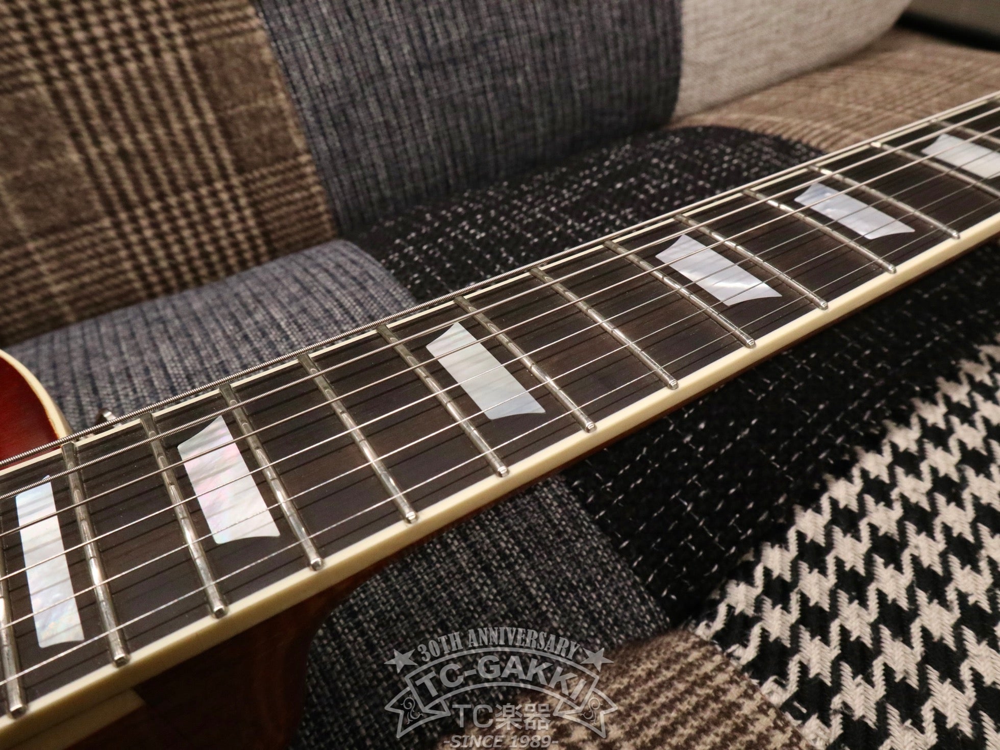 2023 Kashmir - TC楽器 - TCGAKKI