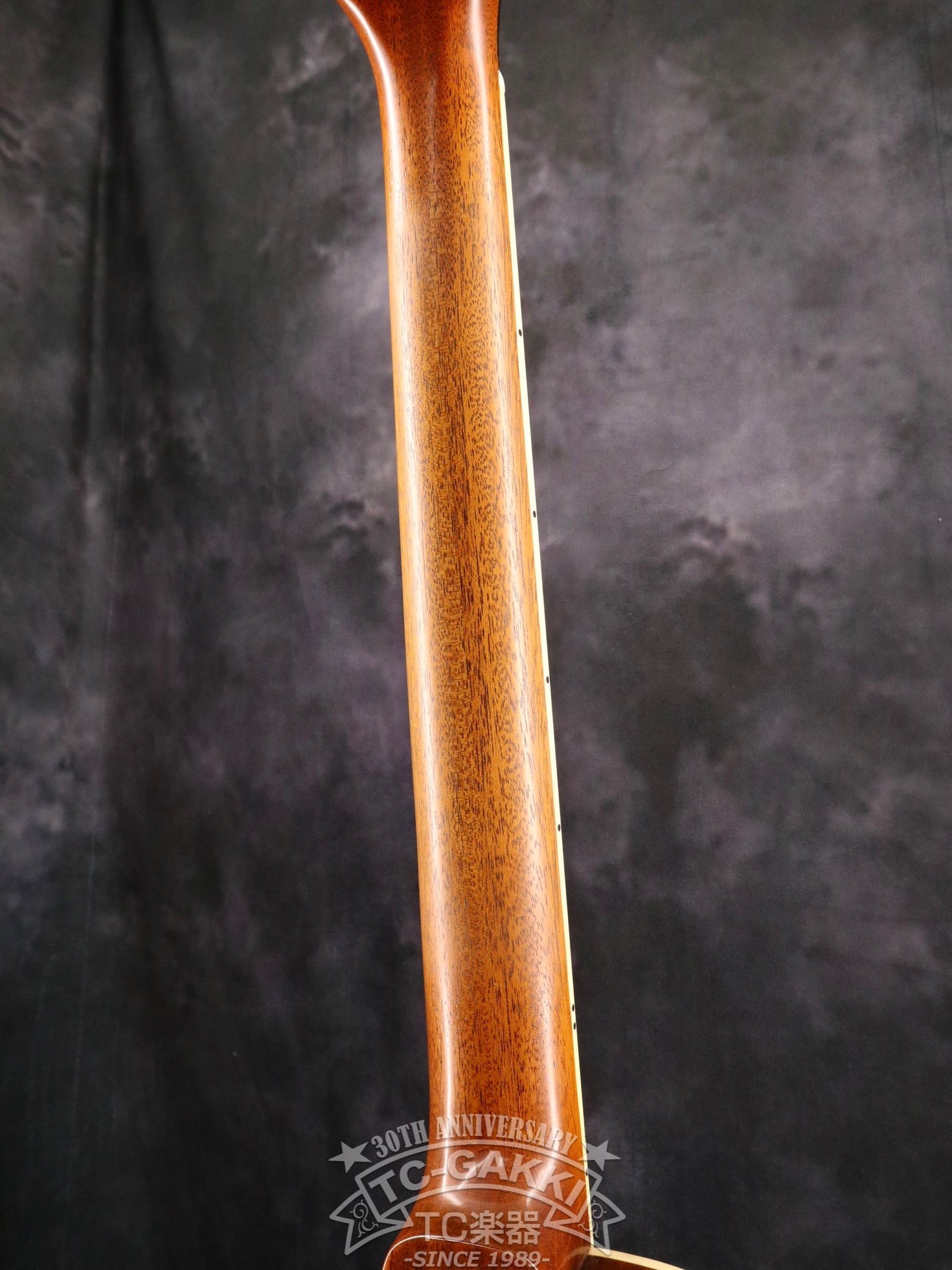 2023 Kashmir - TC楽器 - TCGAKKI