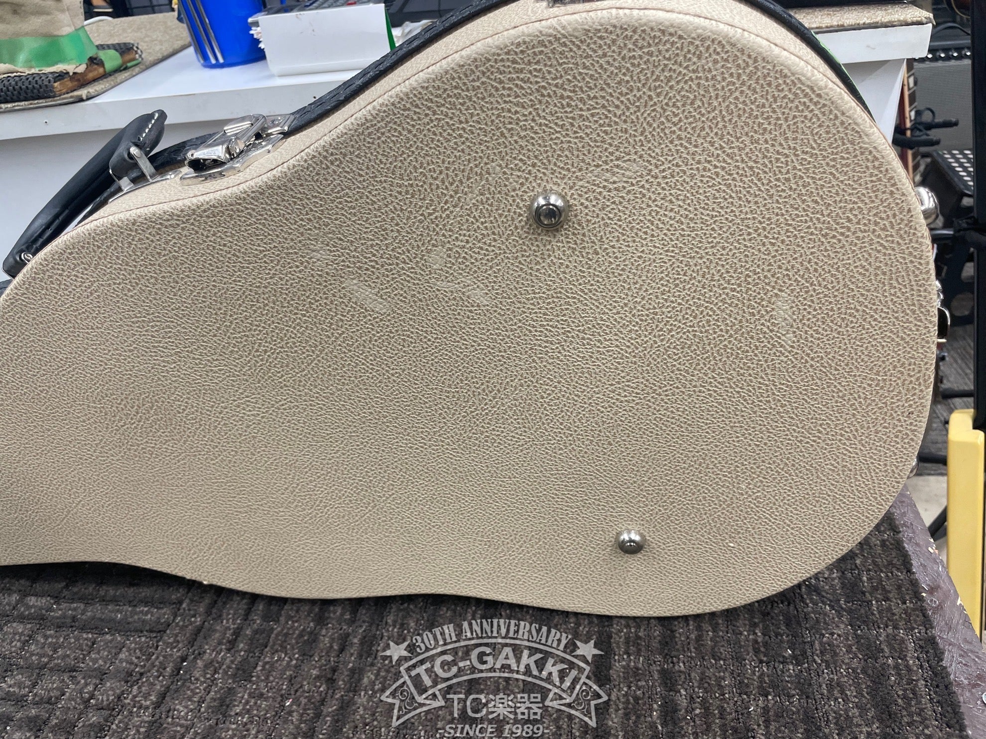 2023 Kashmir - TC楽器 - TCGAKKI