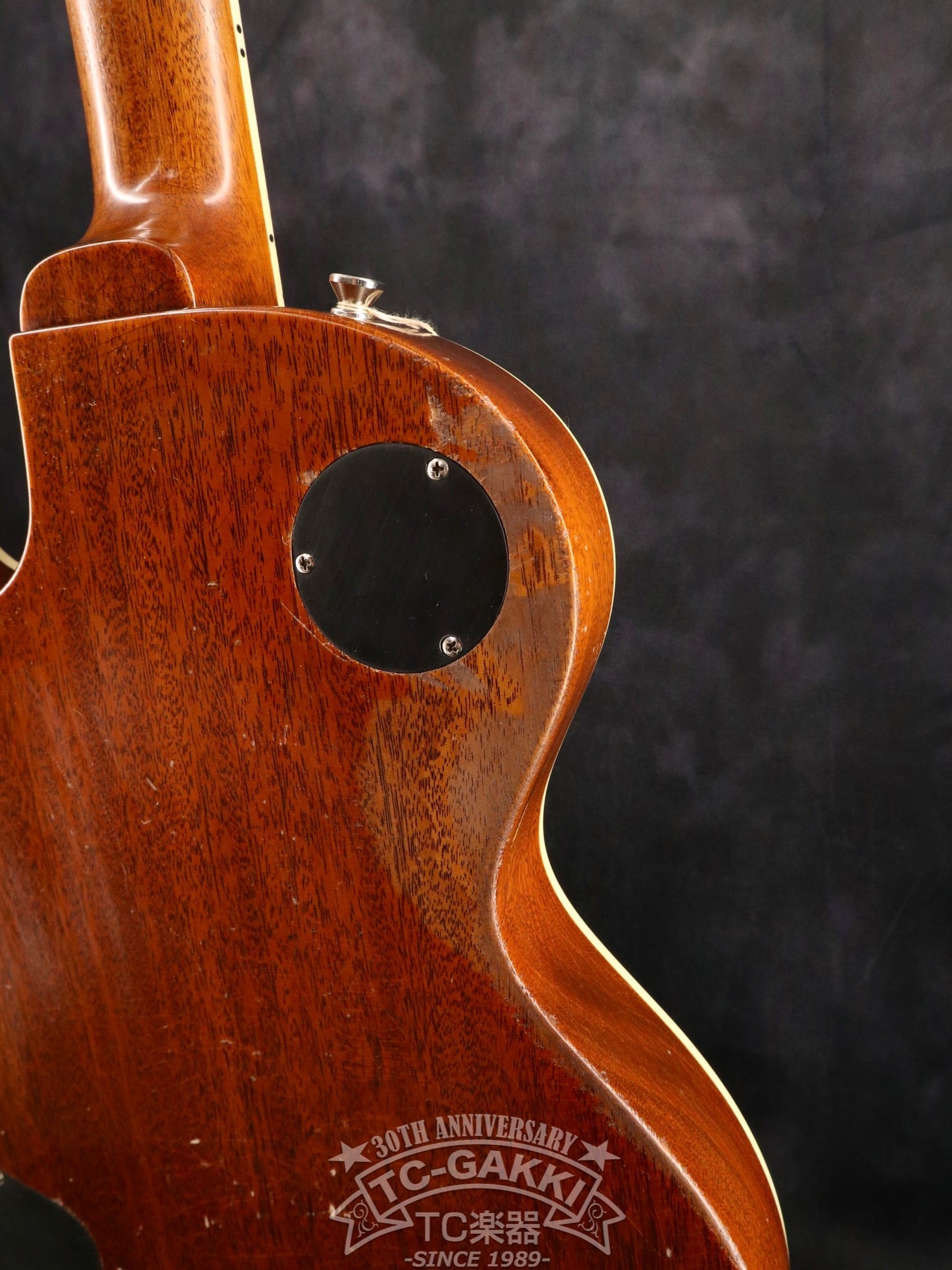 2023 Kashmir - TC楽器 - TCGAKKI