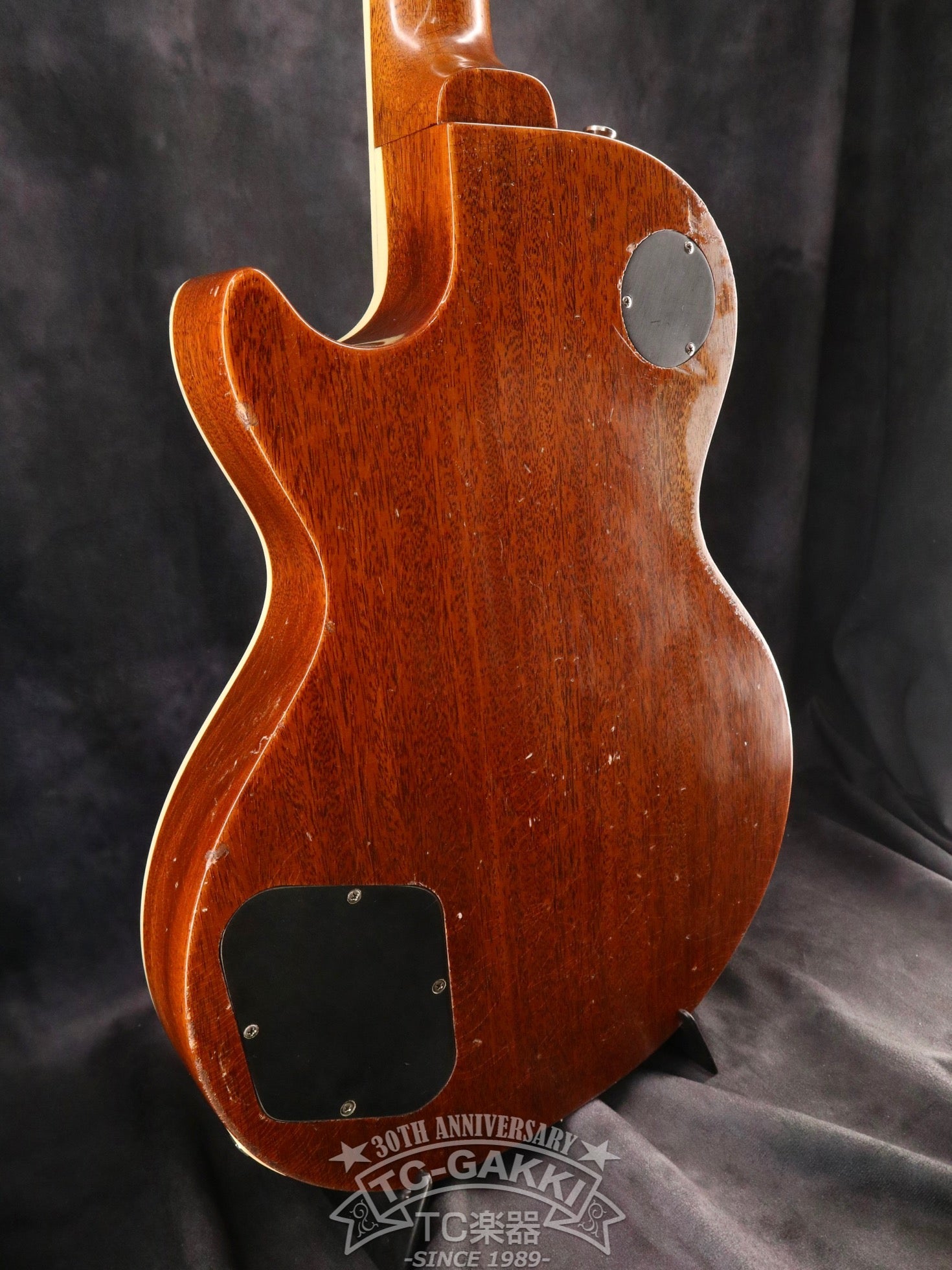 2023 Kashmir - TC楽器 - TCGAKKI