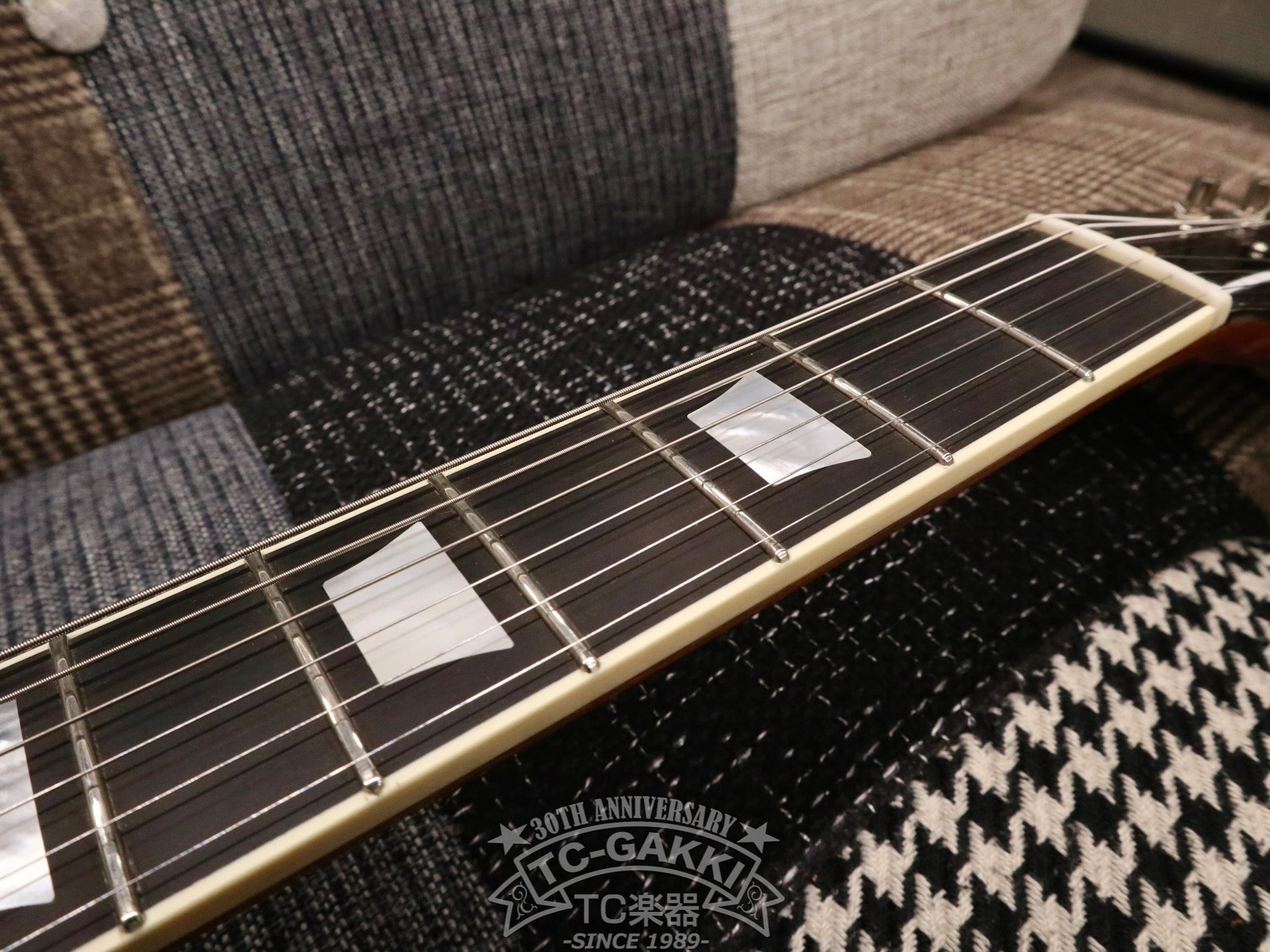 2023 Kashmir - TC楽器 - TCGAKKI