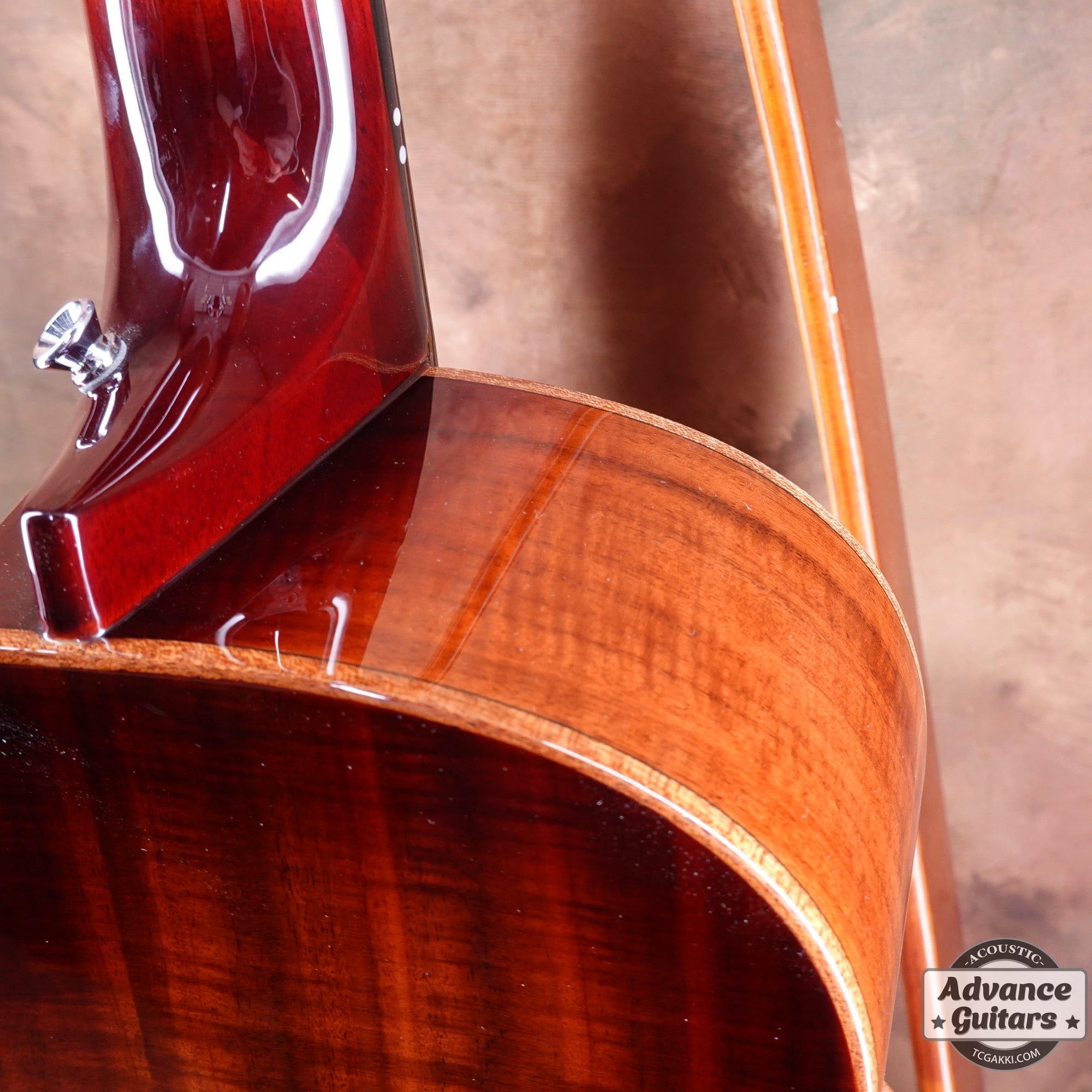 aNN-M88 - TC楽器 - TCGAKKI