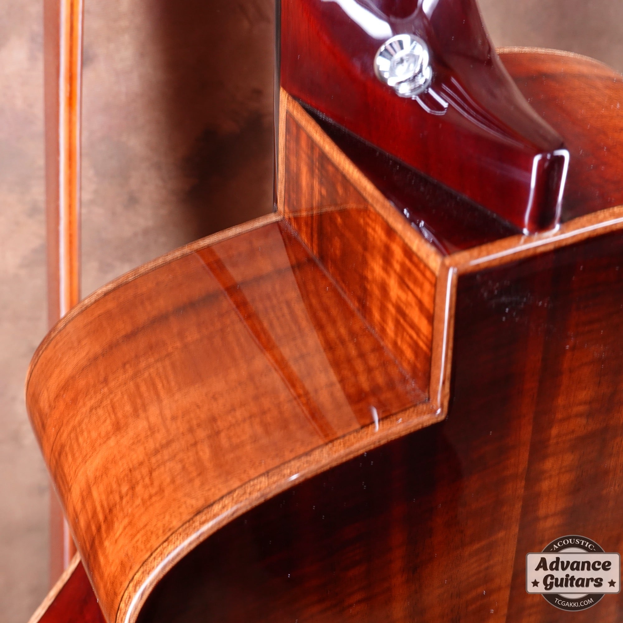 aNN-M88 - TC楽器 - TCGAKKI