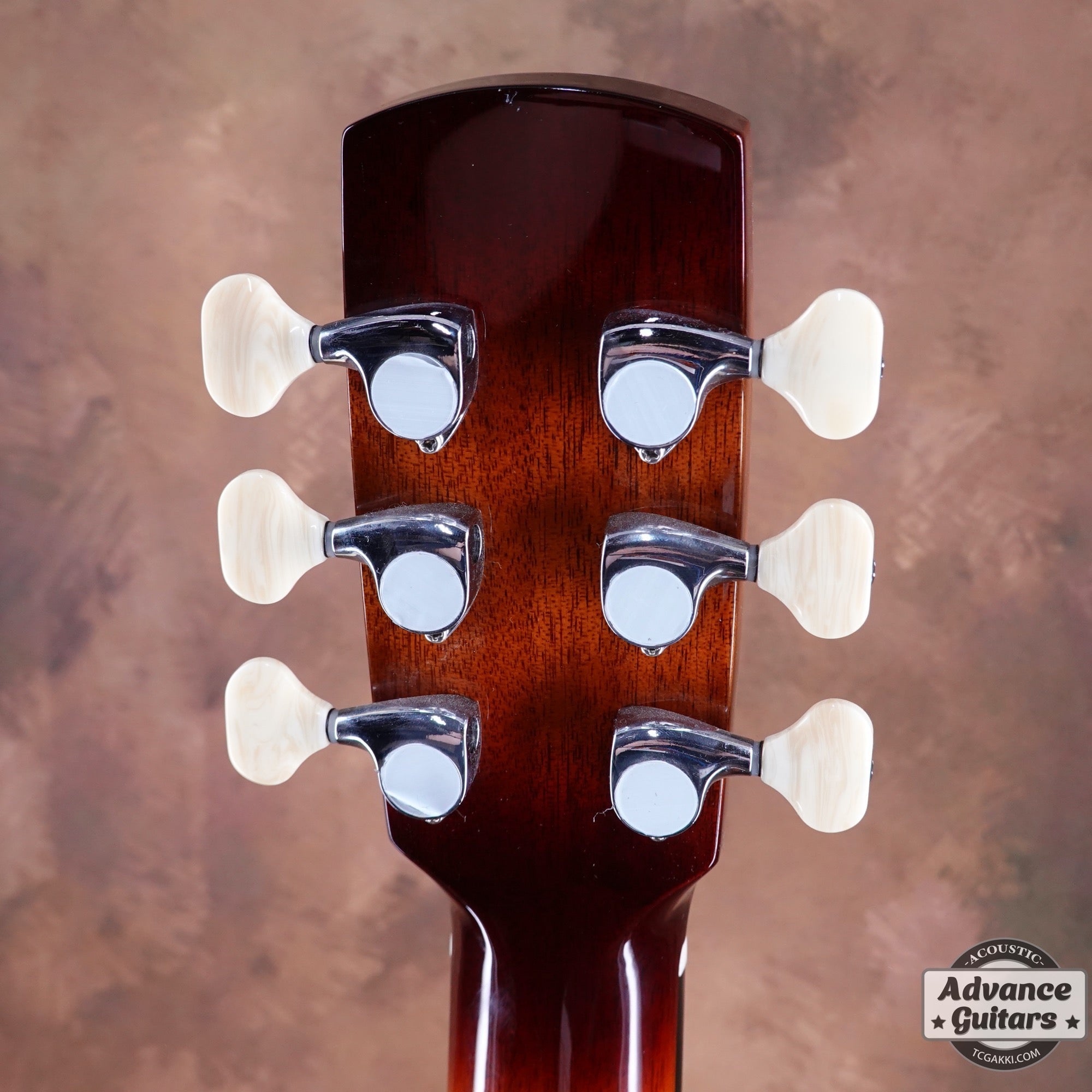 aNN-M88 - TC楽器 - TCGAKKI