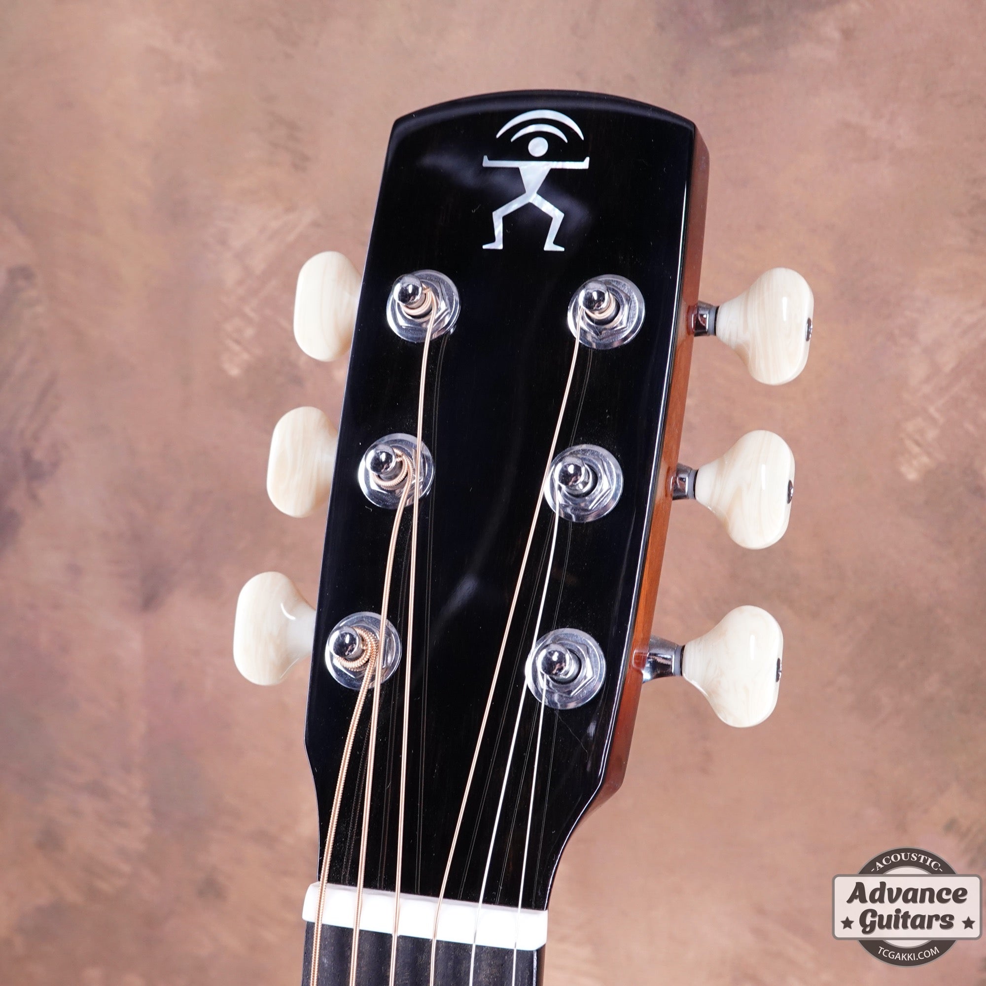 aNN-M88 - TC楽器 - TCGAKKI