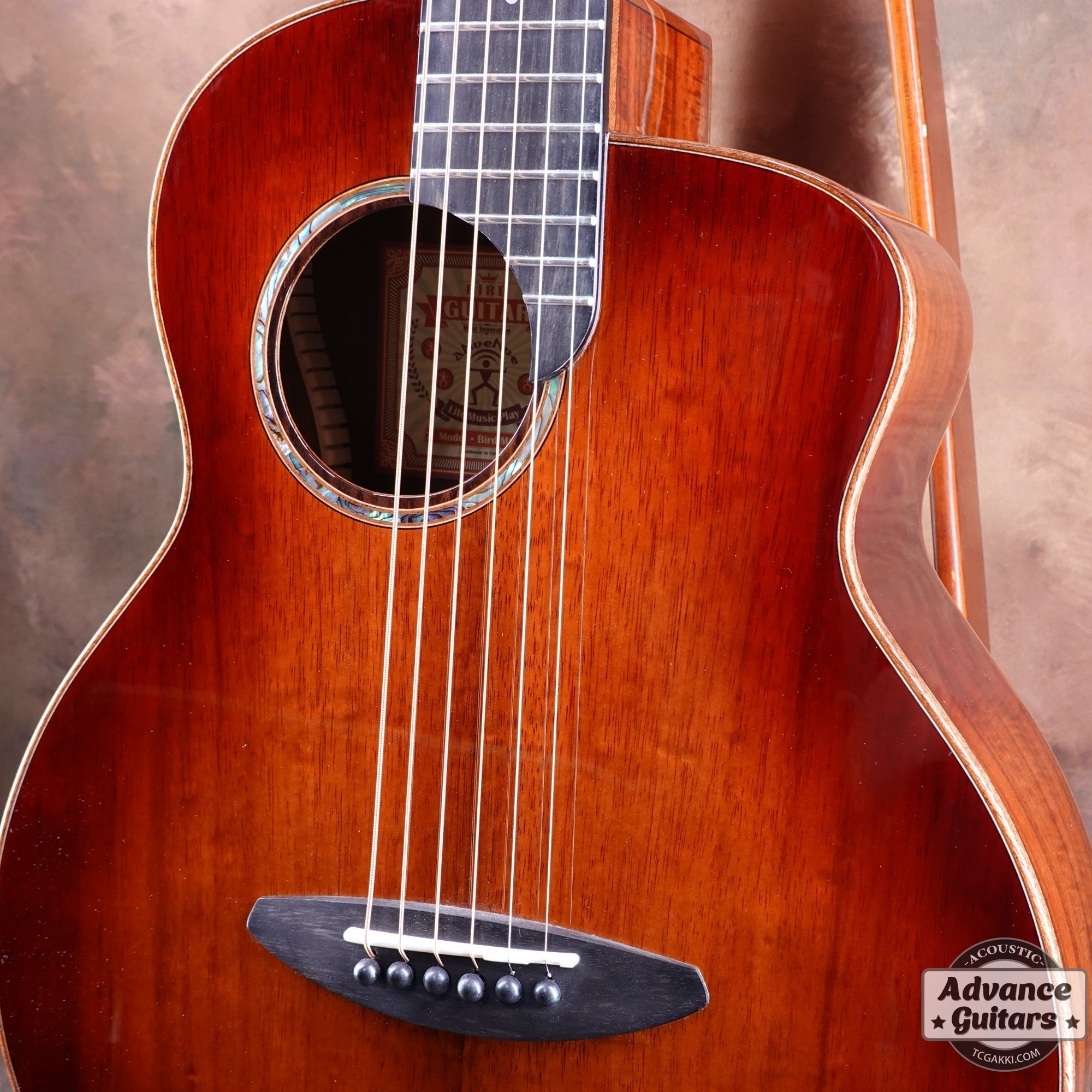 aNN-M88 - TC楽器 - TCGAKKI