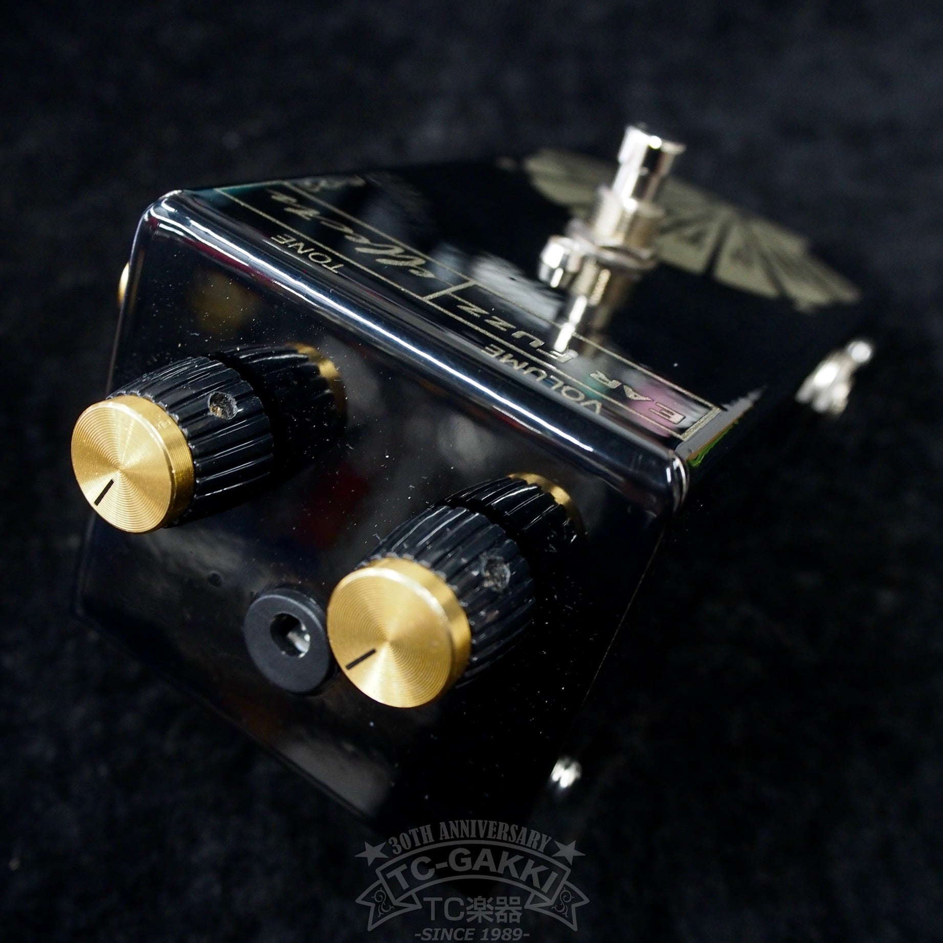 BAPTISTA "JAPAN LIMITED EDITION" (NEW) - TC楽器 - TCGAKKI