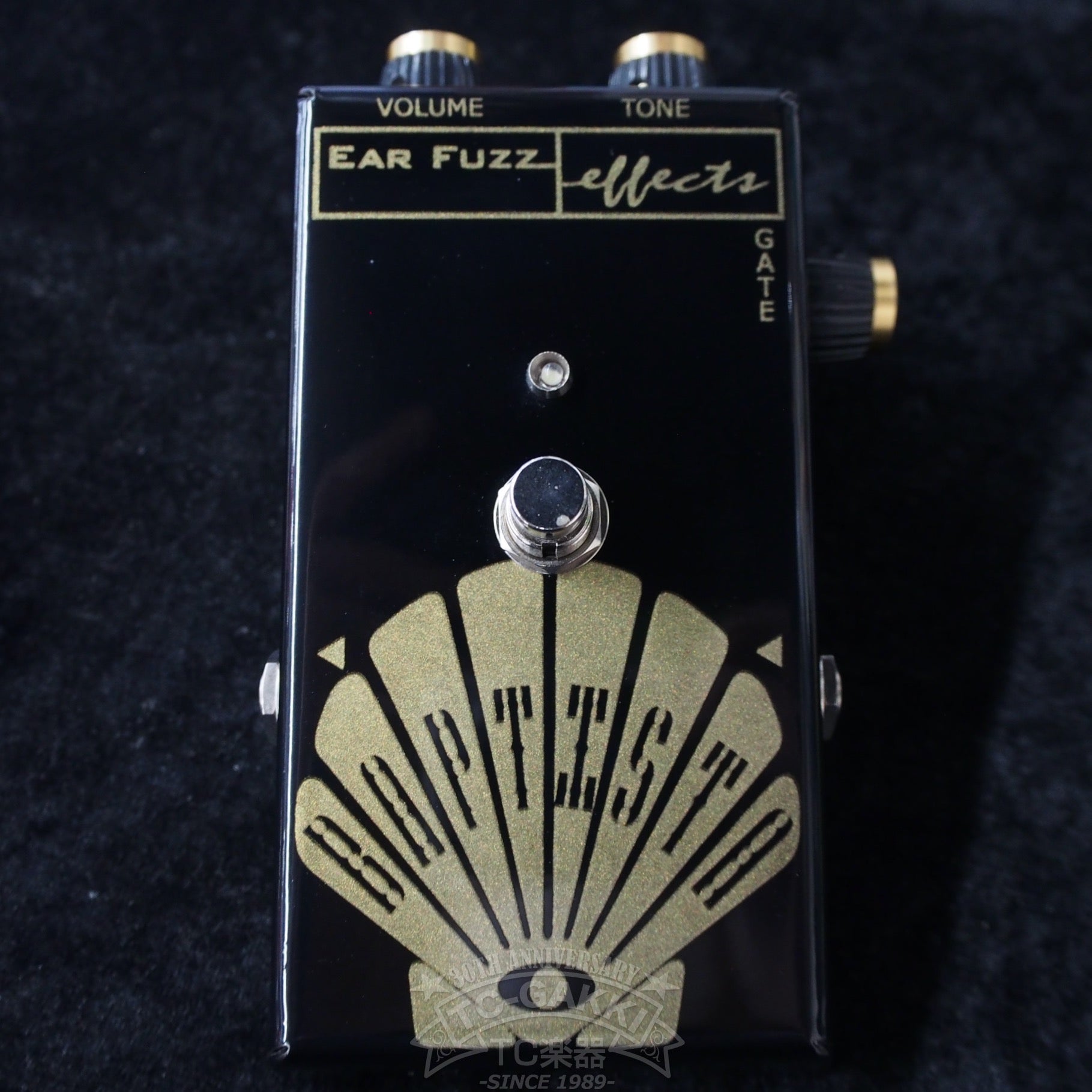 BAPTISTA "JAPAN LIMITED EDITION" (NEW) - TC楽器 - TCGAKKI