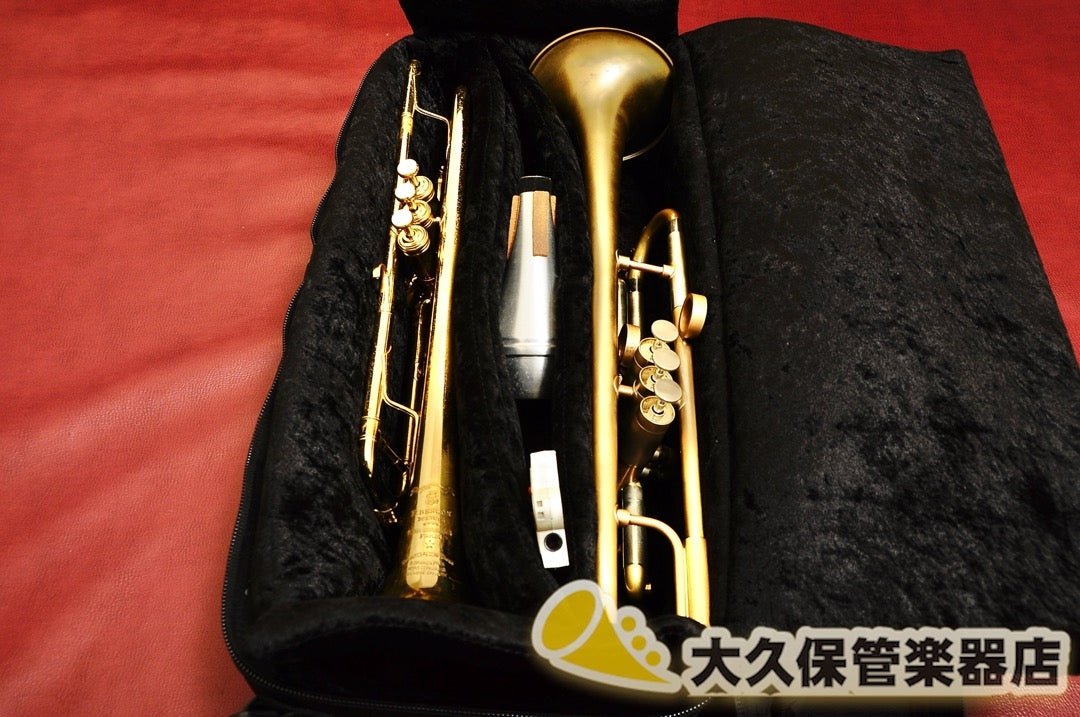 BRASS BAGS:ブラスバッグス 【レザー製・ピストン2本用】(PDTGBL) - TC楽器 - TCGAKKI