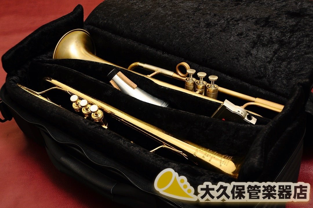 BRASS BAGS:ブラスバッグス 【レザー製・ピストン2本用】(PDTGBL) - TC楽器 - TCGAKKI