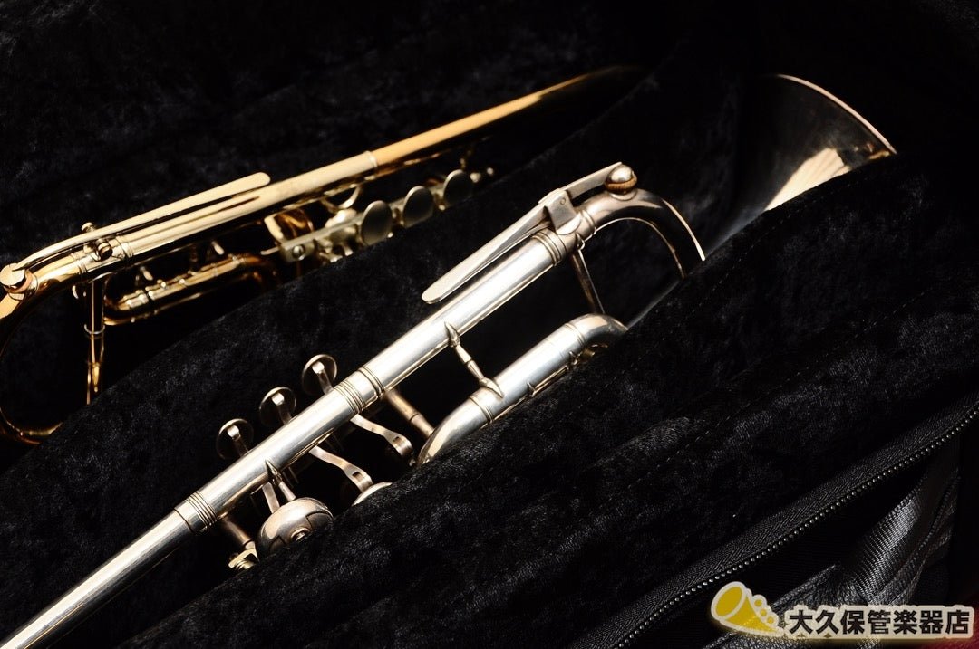 BRASS BAGS:ブラスバッグス 【ロータリー2本用】(PGDTGB) - TC楽器 - TCGAKKI