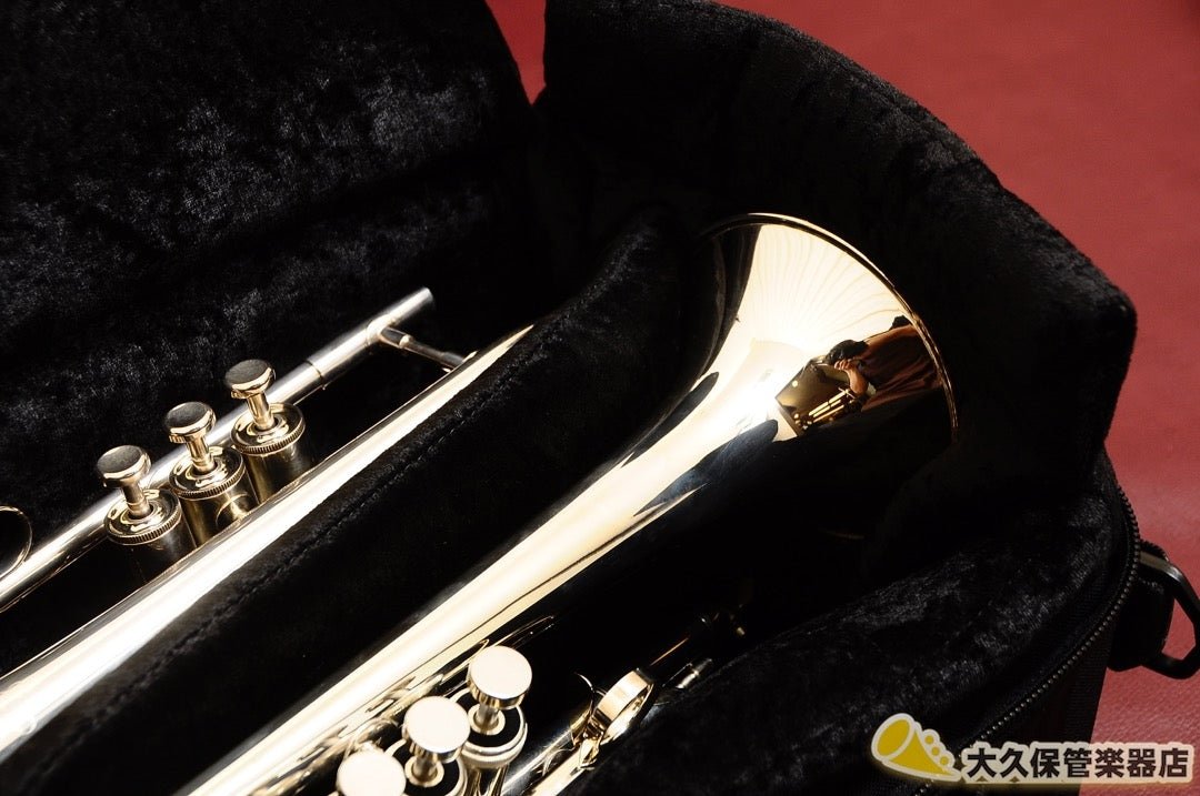 BRASS BAGS:ブラスバッグス 【コルネット用】(PCGB) - TC楽器 - TCGAKKI