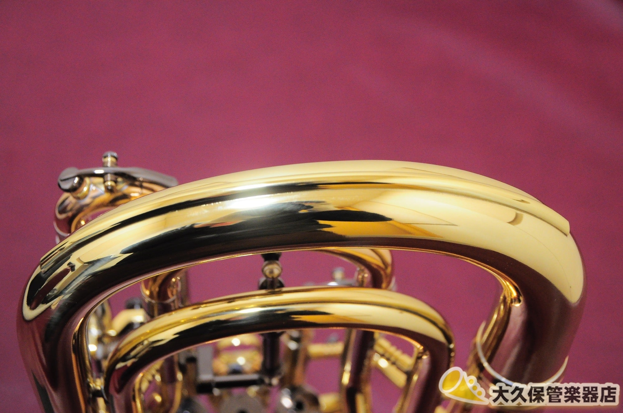 ジェネヴァ Cardinal/Baritone Horn-LAQ バリトンホルン(新品) - TC楽器 - TCGAKKI