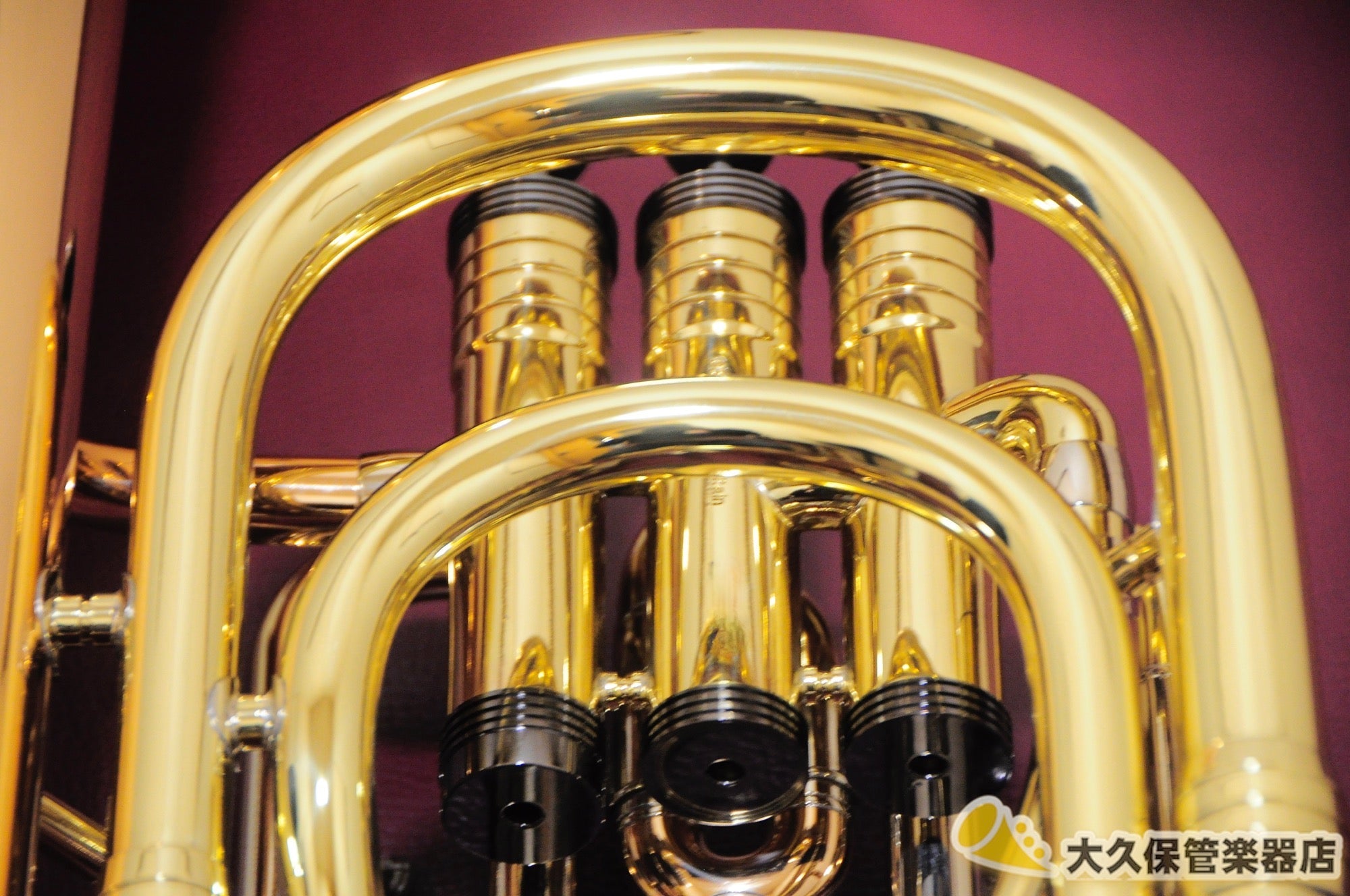 ジェネヴァ Cardinal/Baritone Horn-LAQ バリトンホルン(新品) - TC楽器 - TCGAKKI