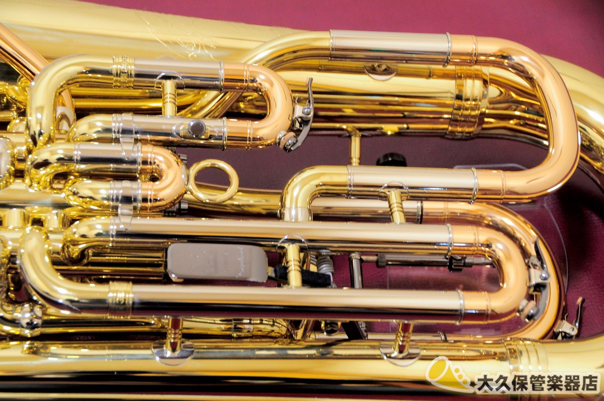 ジェネヴァ Cardinal/GVL-LAQ “Glenn Van Looy Model” ユーフォニアム(新品) - TC楽器 - TCGAKKI