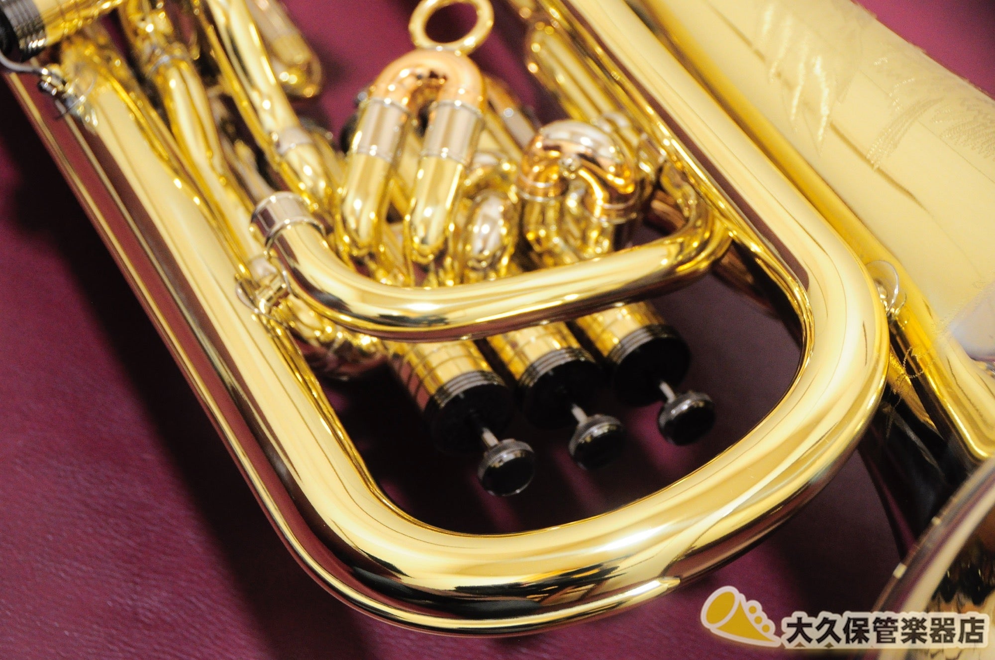 ジェネヴァ Cardinal/GVL-LAQ “Glenn Van Looy Model” ユーフォニアム(新品) - TC楽器 - TCGAKKI