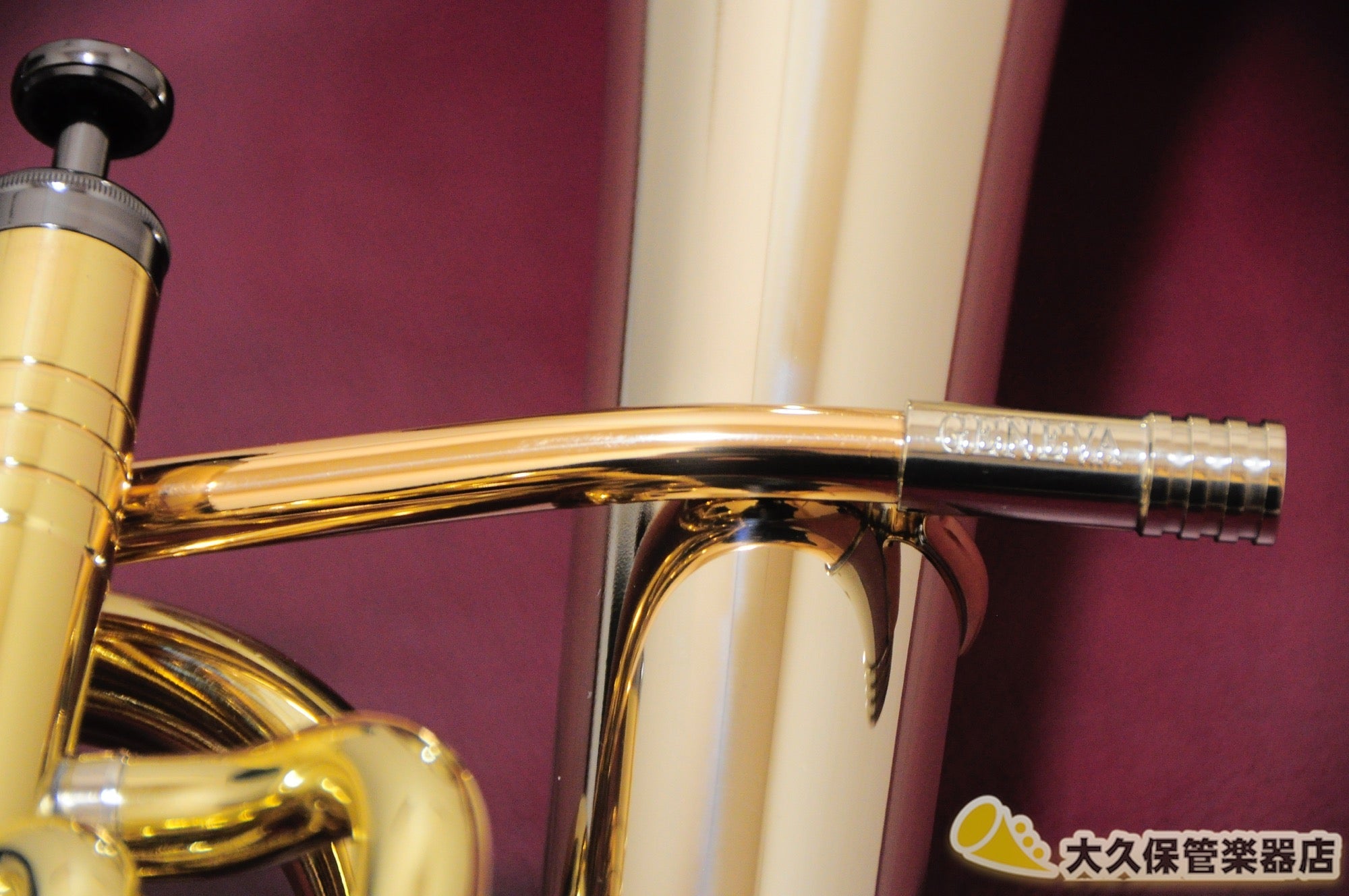 ジェネヴァ Cardinal/Tenor Horn-LAQ テナーホルン(新品) - TC楽器 - TCGAKKI