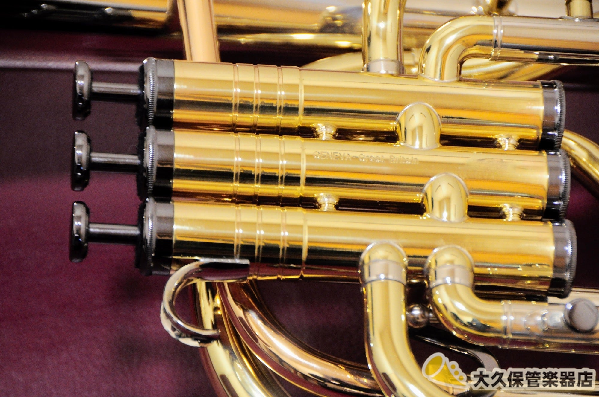 ジェネヴァ Cardinal/Tenor Horn-LAQ テナーホルン(新品) - TC楽器 - TCGAKKI