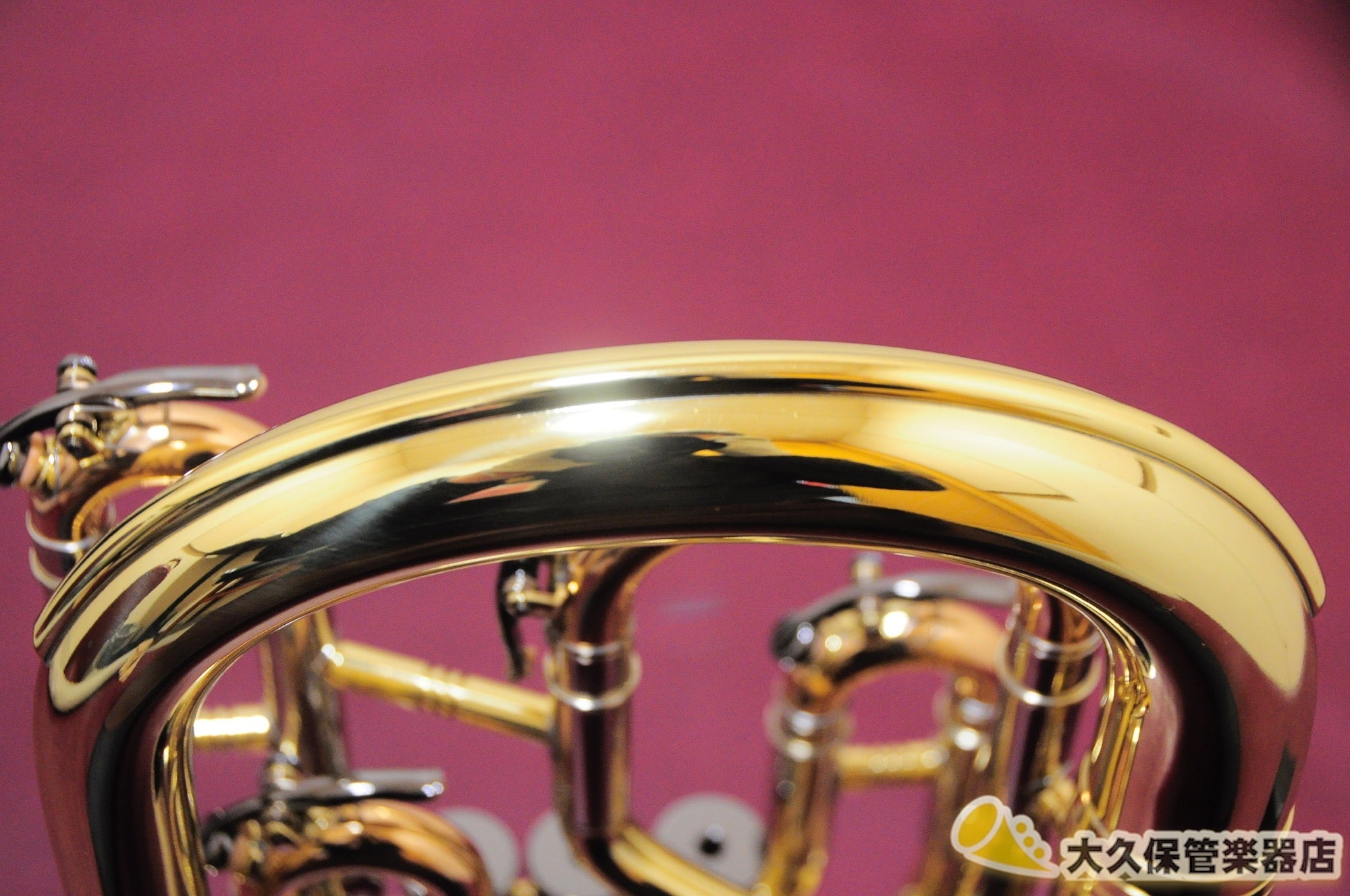 ジェネヴァ Cardinal/Tenor Horn-LAQ テナーホルン(新品) - TC楽器 - TCGAKKI