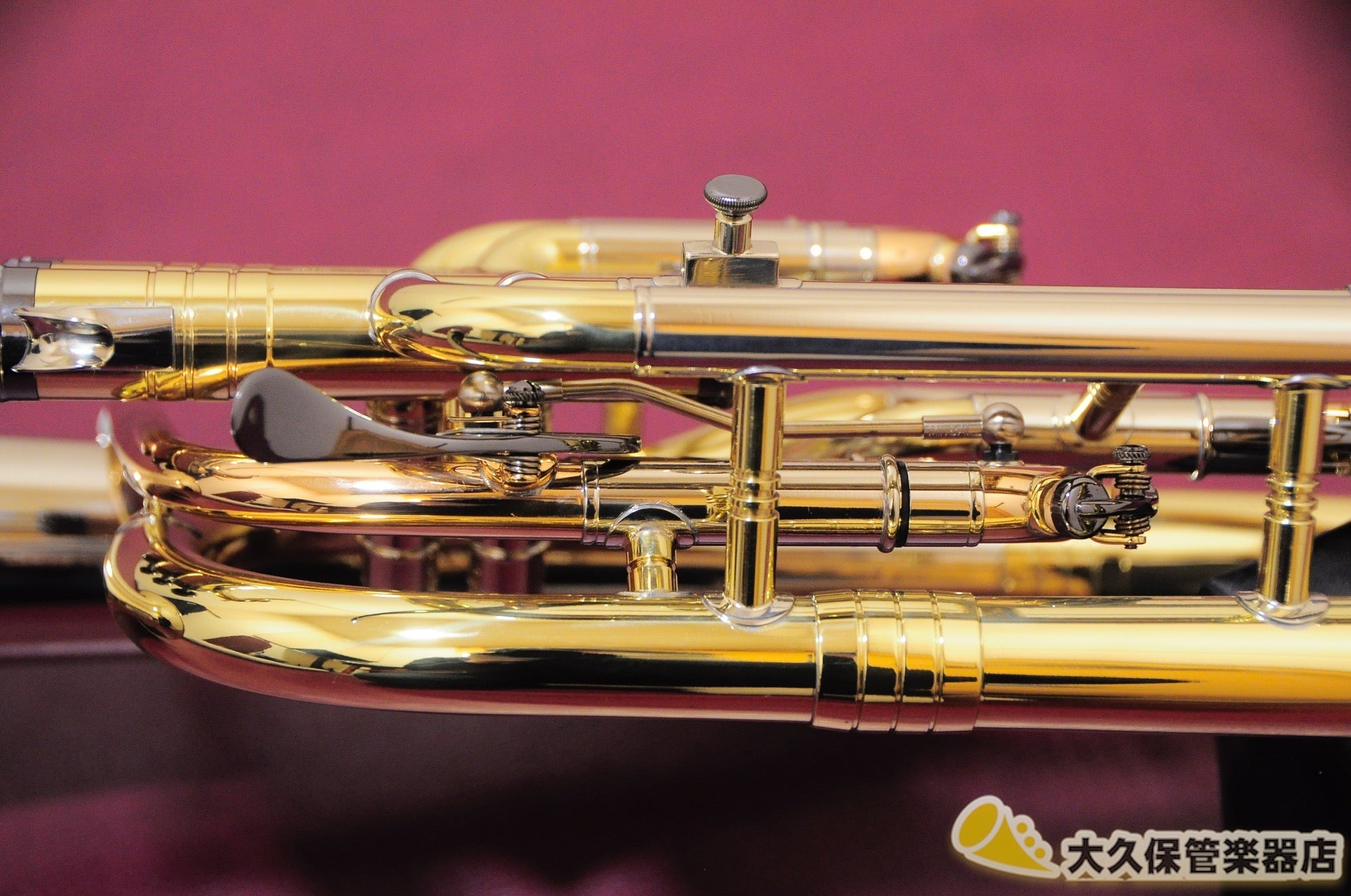 ジェネヴァ Cardinal/Tenor Horn-LAQ テナーホルン(新品) - TC楽器 - TCGAKKI