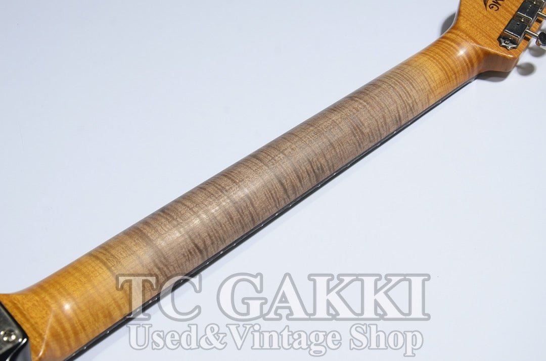 Dover HSS 3 Tone Sunburst - TC楽器 - TCGAKKI