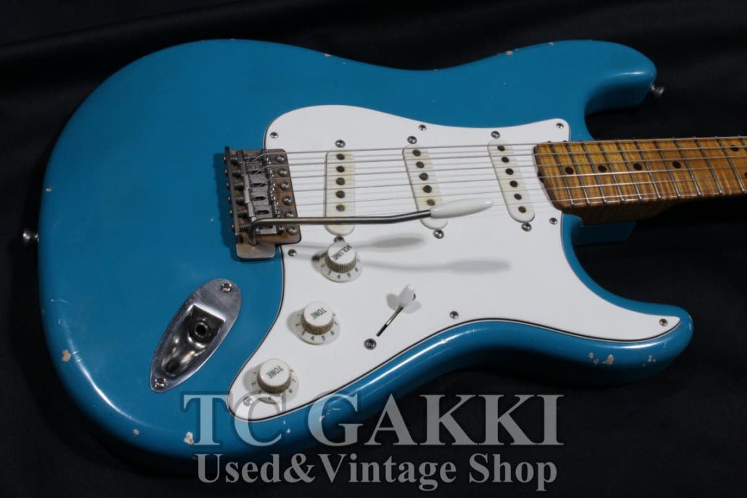 Dover SSS 5A Flame Maple Neck - TC楽器 - TCGAKKI