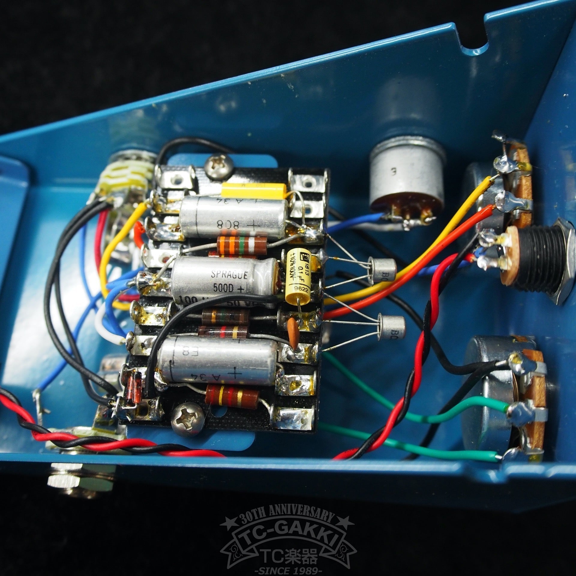 EAR FUZZ effects:BAPTISTA (NEW) - TC楽器 - TCGAKKI