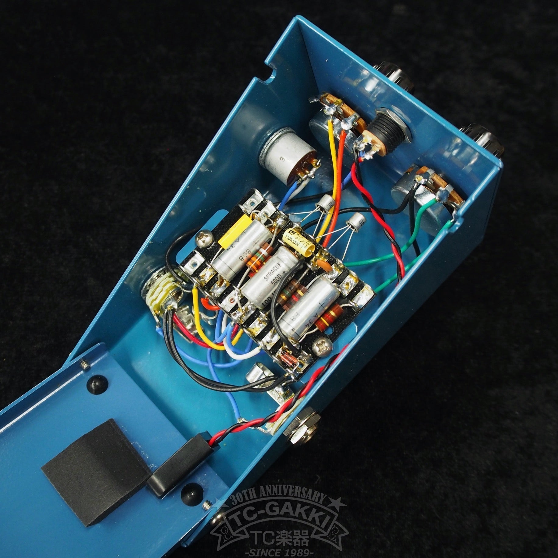 EAR FUZZ effects:BAPTISTA (NEW) - TC楽器 - TCGAKKI